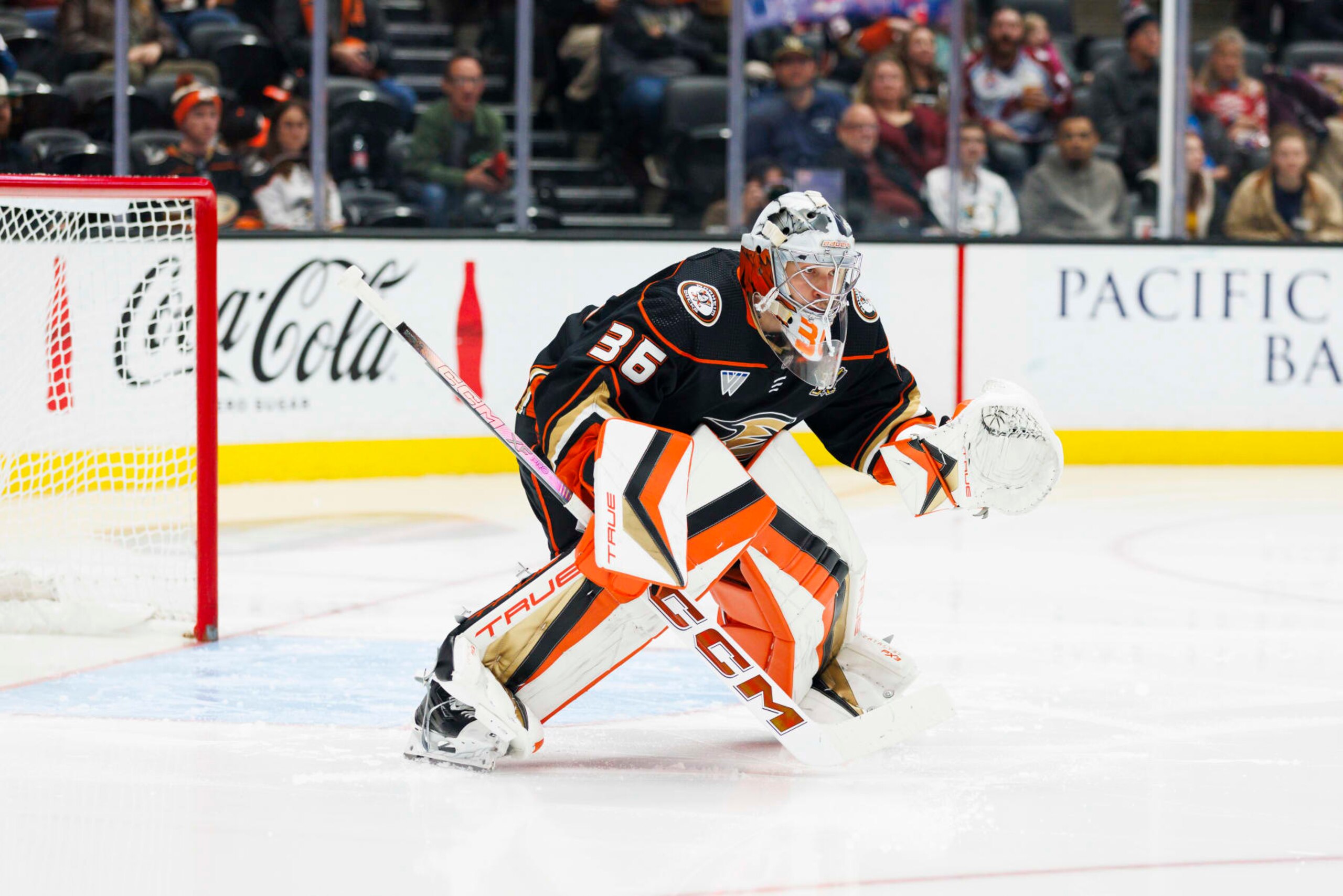 ANAHEIM, CA - DECEMBER 02: Anaheim Ducks goaltender John Gibson (36) in net during the NHL hockey game against the Colorado Avalanche on December 02, 2023 at Honda Center in Anaheim, CA. (Photo by Ric Tapia/Icon Sportswire via Getty Images)