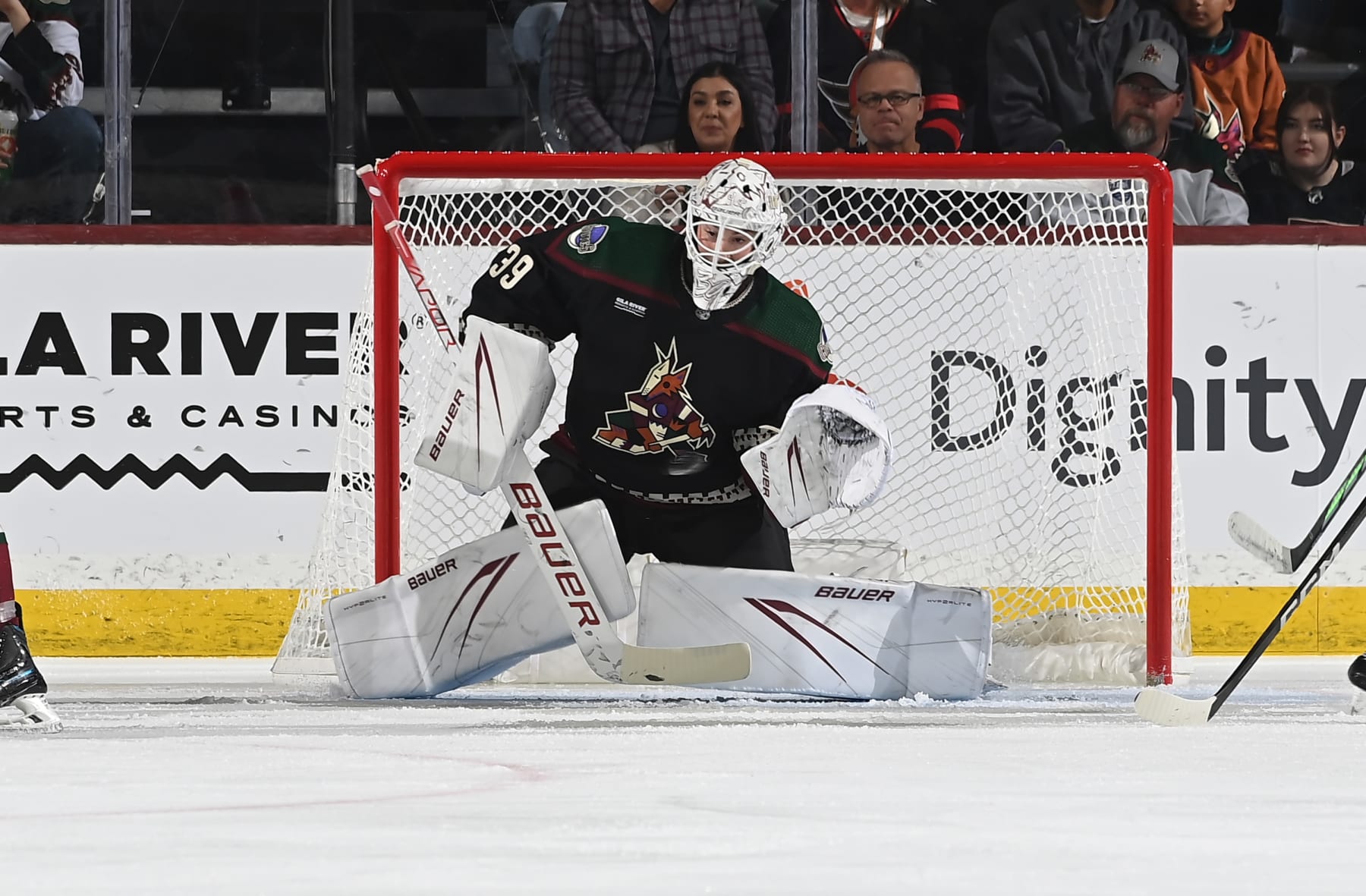 TEMPE, ARIZONA - DECEMBER 19: Connor Ingram #39 of the Arizona Coyotes gmakes a save against the Ottawa Senators at Mullett Arena on December 19, 2023 in Tempe, Arizona. (Photo by Norm Hall/NHLI via Getty Images)