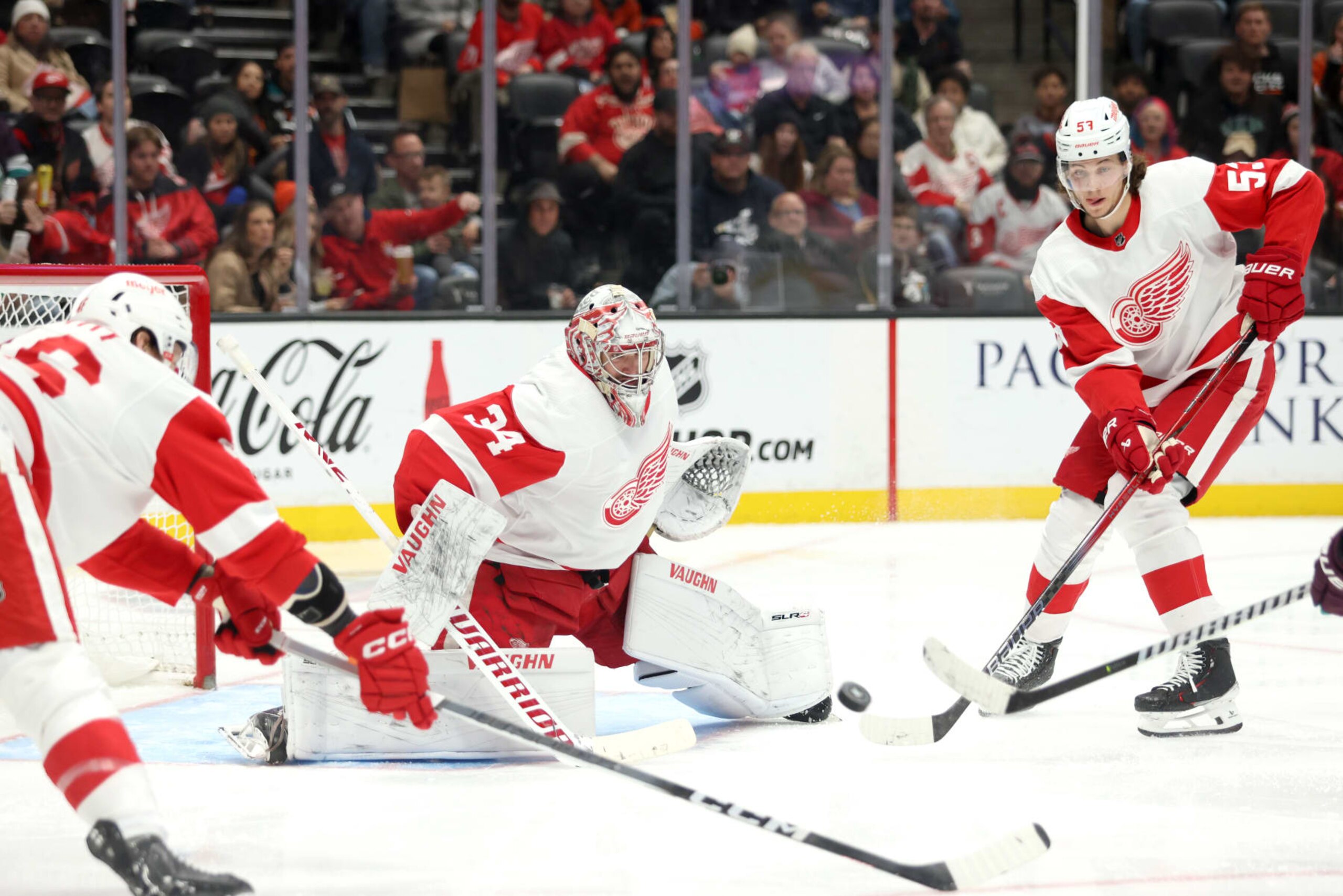 ANAHEIM, CALIFORNIA - JANUARY 07: Alex Lyon #34 of the Detroit Red Wings defends the net in the second period during the game against the Anaheim Ducks at Honda Center on January 07, 2024 in Anaheim, California. (Photo by Nicole Vasquez/NHLI via Getty Images) ANAHEIM, CALIFORNIA - JANUARY 07: Alex Lyon #34 of the Detroit Red Wings defends the net in the second period during the game against the Anaheim Ducks at Honda Center on January 07, 2024 in Anaheim, California. (Photo by Nicole Vasquez/NHLI via Getty Images)