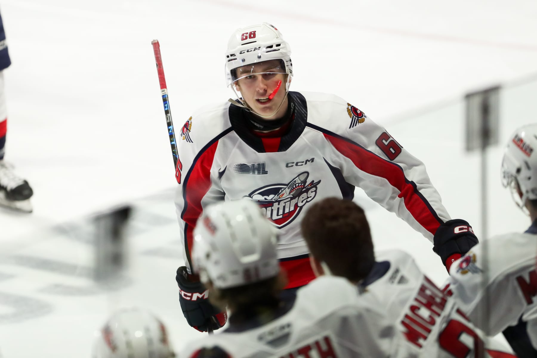 WINDSOR, ONTARIO - OCTOBER 12: Forward Liam Greentree #66 of the Windsor Spitfires celebrates his second period goal against the Kingston Frontenacs at WFCU Centre on October 12, 2023 in Windsor, Ontario. (Photo by Dennis Pajot/Getty Images)
