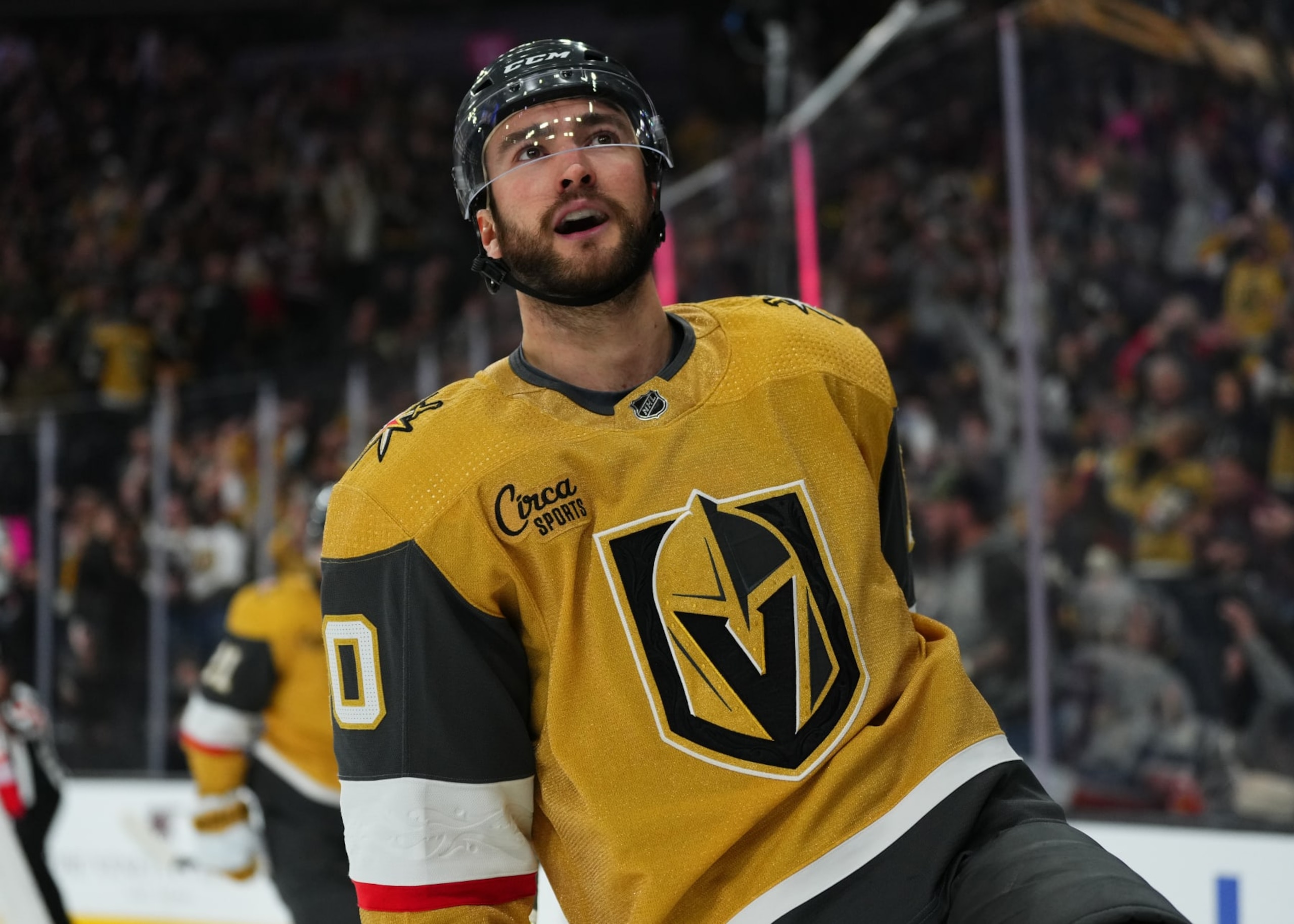 LAS VEGAS, NEVADA - JANUARY 06: Nicolas Roy #10 of the Vegas Golden Knights celebrates after a goal during the third period against the New York Islanders at T-Mobile Arena on January 06, 2024 in Las Vegas, Nevada. (Photo by Jeff Bottari/NHLI via Getty Images) LAS VEGAS, NEVADA - JANUARY 06: Nicolas Roy #10 of the Vegas Golden Knights celebrates after a goal during the third period against the New York Islanders at T-Mobile Arena on January 06, 2024 in Las Vegas, Nevada. (Photo by Jeff Bottari/NHLI via Getty Images)