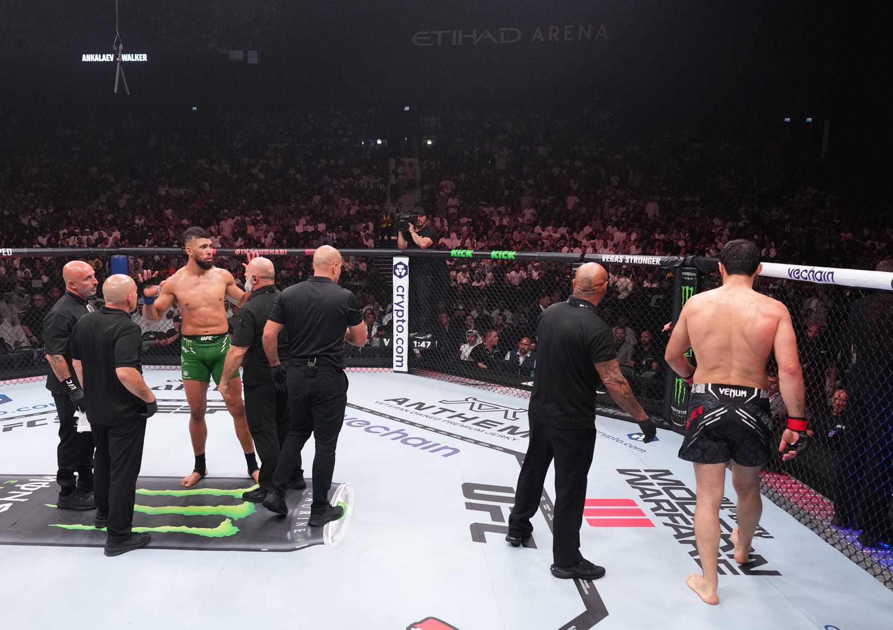 Johnny Walker and Magomed Ankalaev react after the stoppage of their light heavyweight fight due to an unintentional foul