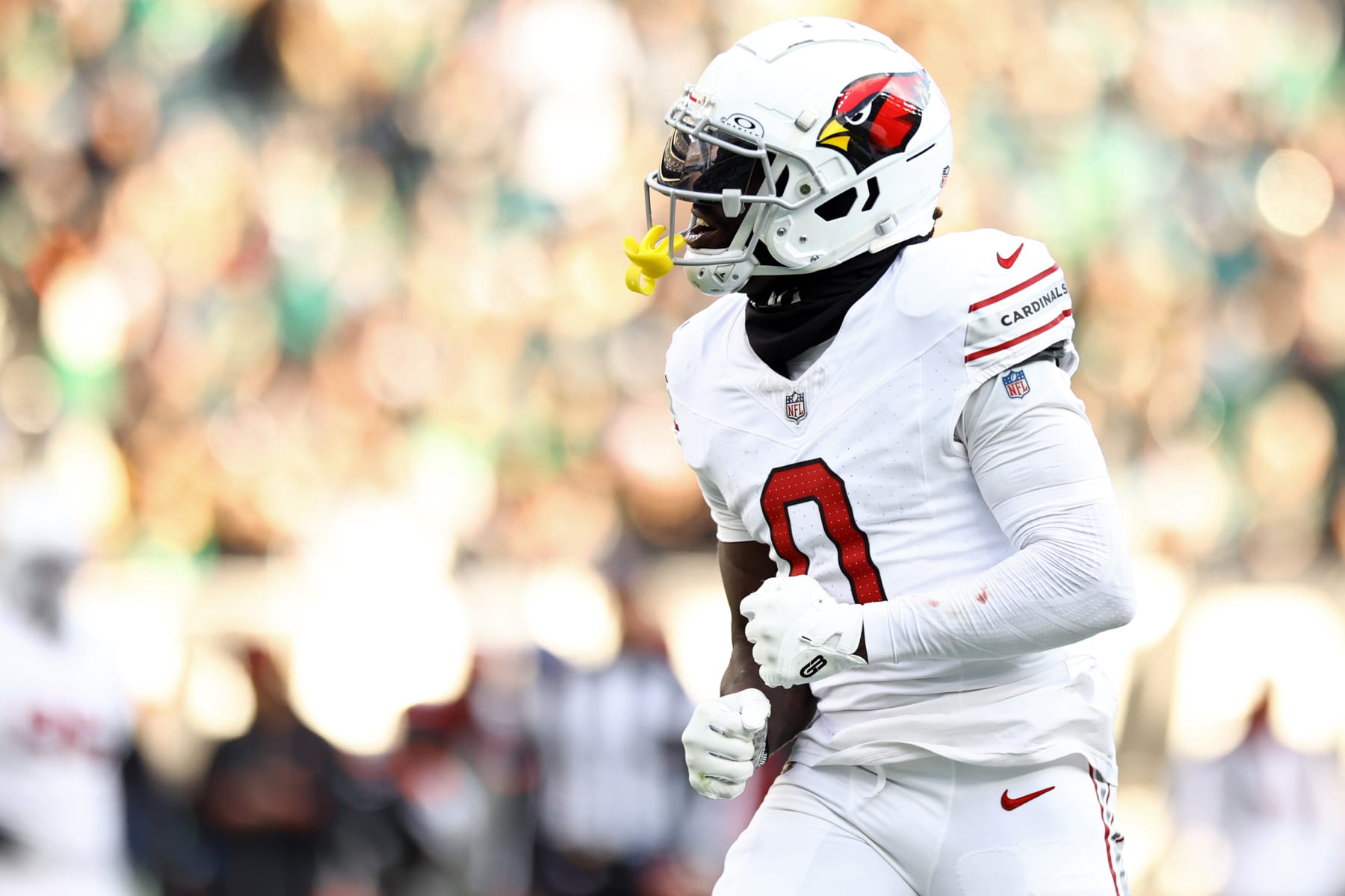 Cardinals WR Zach Pascal