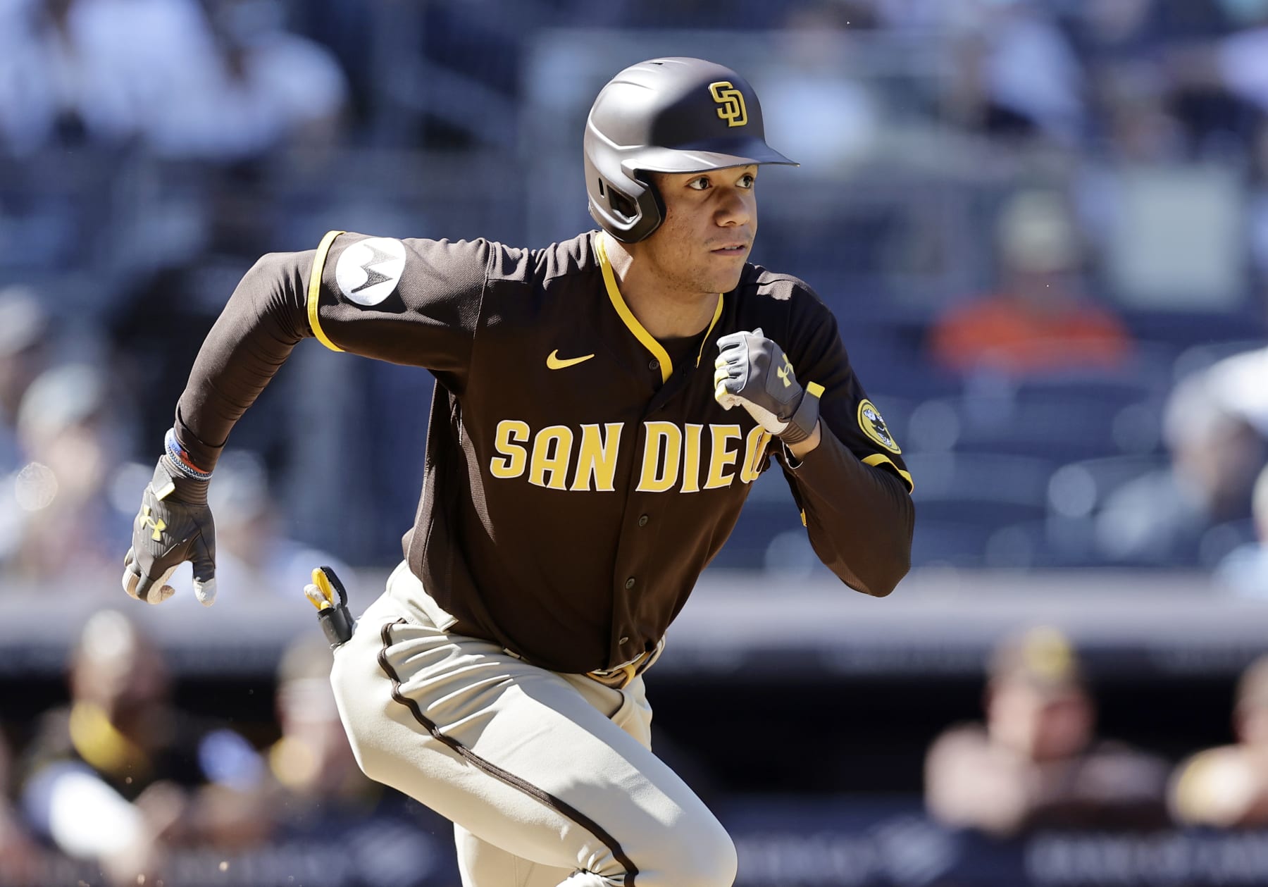 BRONX, NEW YORK - MAY 28:  Juan Soto #22 of the San Diego Padres in action against the New York Yankees at Yankee Stadium on May 28, 2023 in Bronx, New York. The Yankees defeated the Padres 10-7. (Photo by Jim McIsaac/Getty Images)