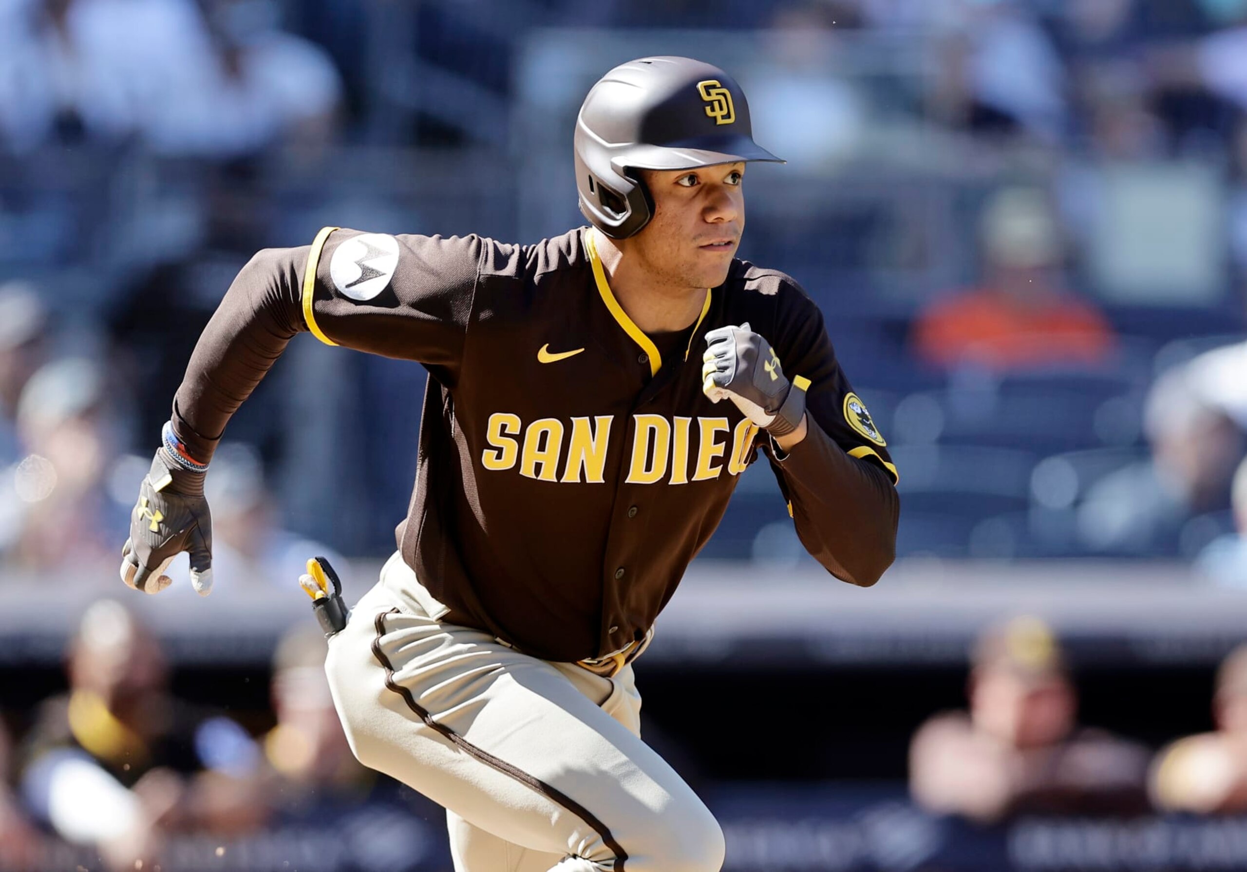 BRONX, NEW YORK - MAY 28: Juan Soto #22 of the San Diego Padres in action against the New York Yankees at Yankee Stadium on May 28, 2023 in Bronx, New York. The Yankees defeated the Padres 10-7. (Photo by Jim McIsaac/Getty Images) BRONX, NEW YORK - MAY 28: Juan Soto #22 of the San Diego Padres in action against the New York Yankees at Yankee Stadium on May 28, 2023 in Bronx, New York. The Yankees defeated the Padres 10-7. (Photo by Jim McIsaac/Getty Images)