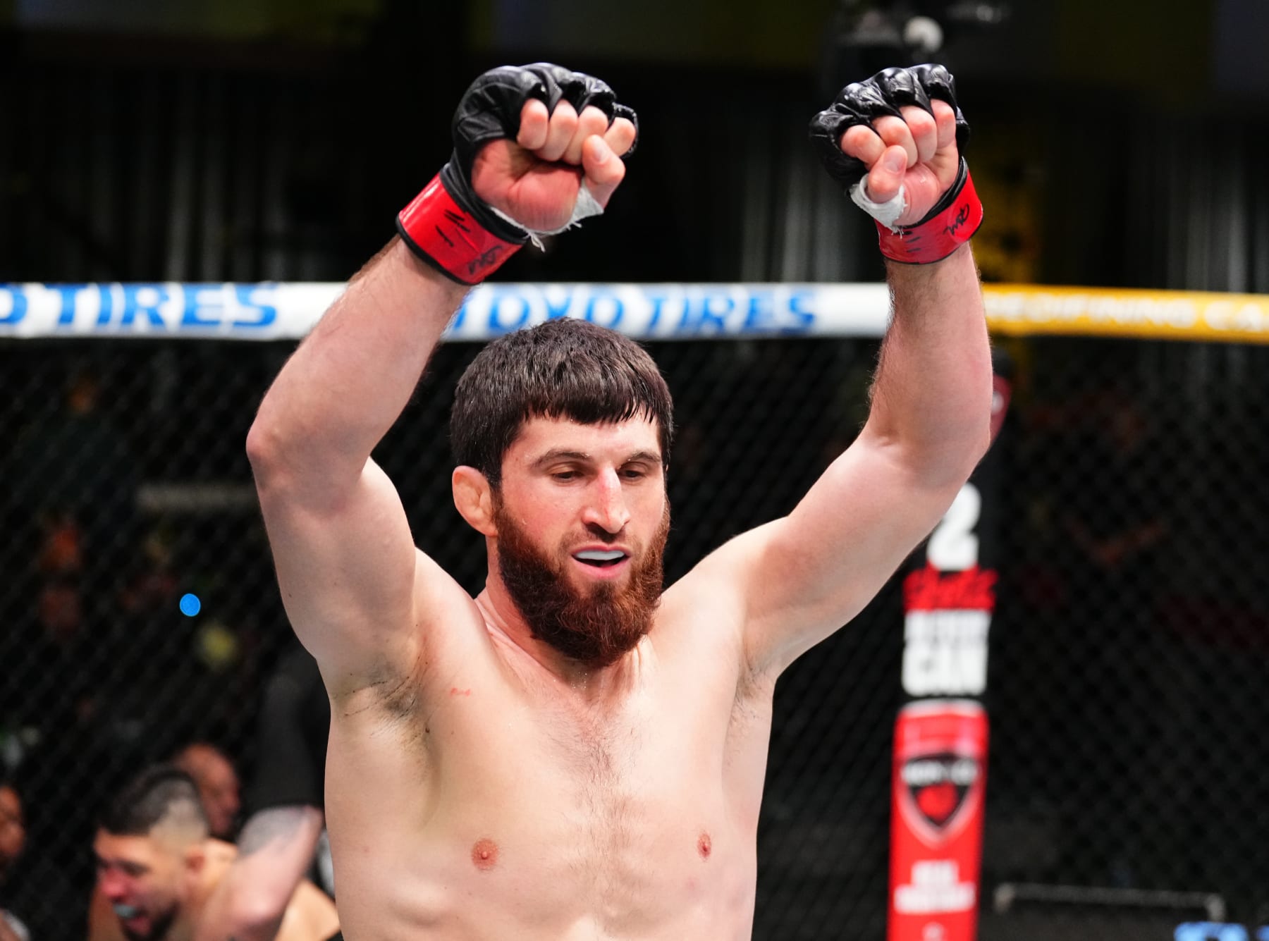 Magomed Ankalaev reacts after his knockout victory against Johnny Walker.
