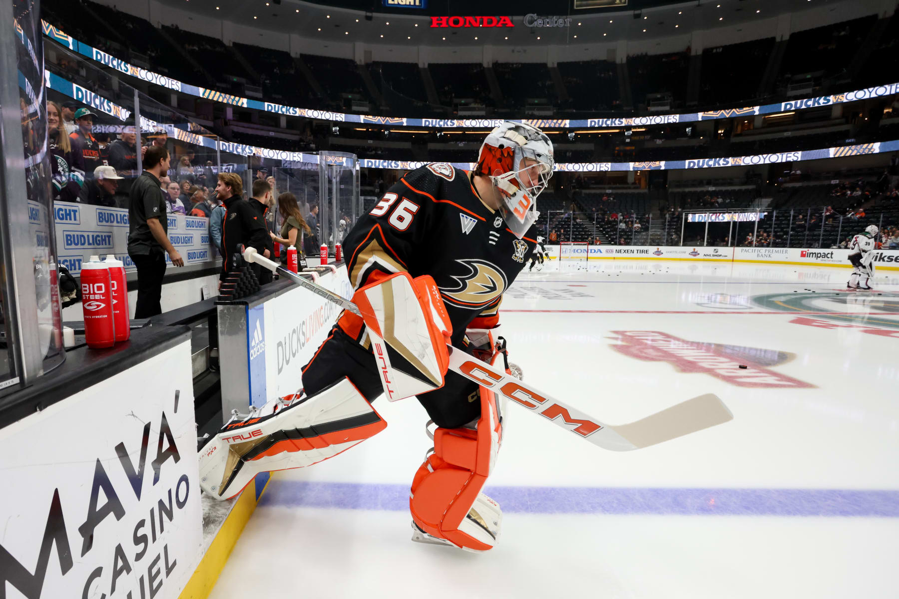 ANAHEIM, CA - DECEMBER 29:  John Gibson #36 of the Anaheim Ducks takes the ice during warm ups prior to the game against the Arizona Coyotes at Honda Center on December 29, 2023 in Anaheim, California. (Photo by Debora Robinson/NHLI via Getty Images)
