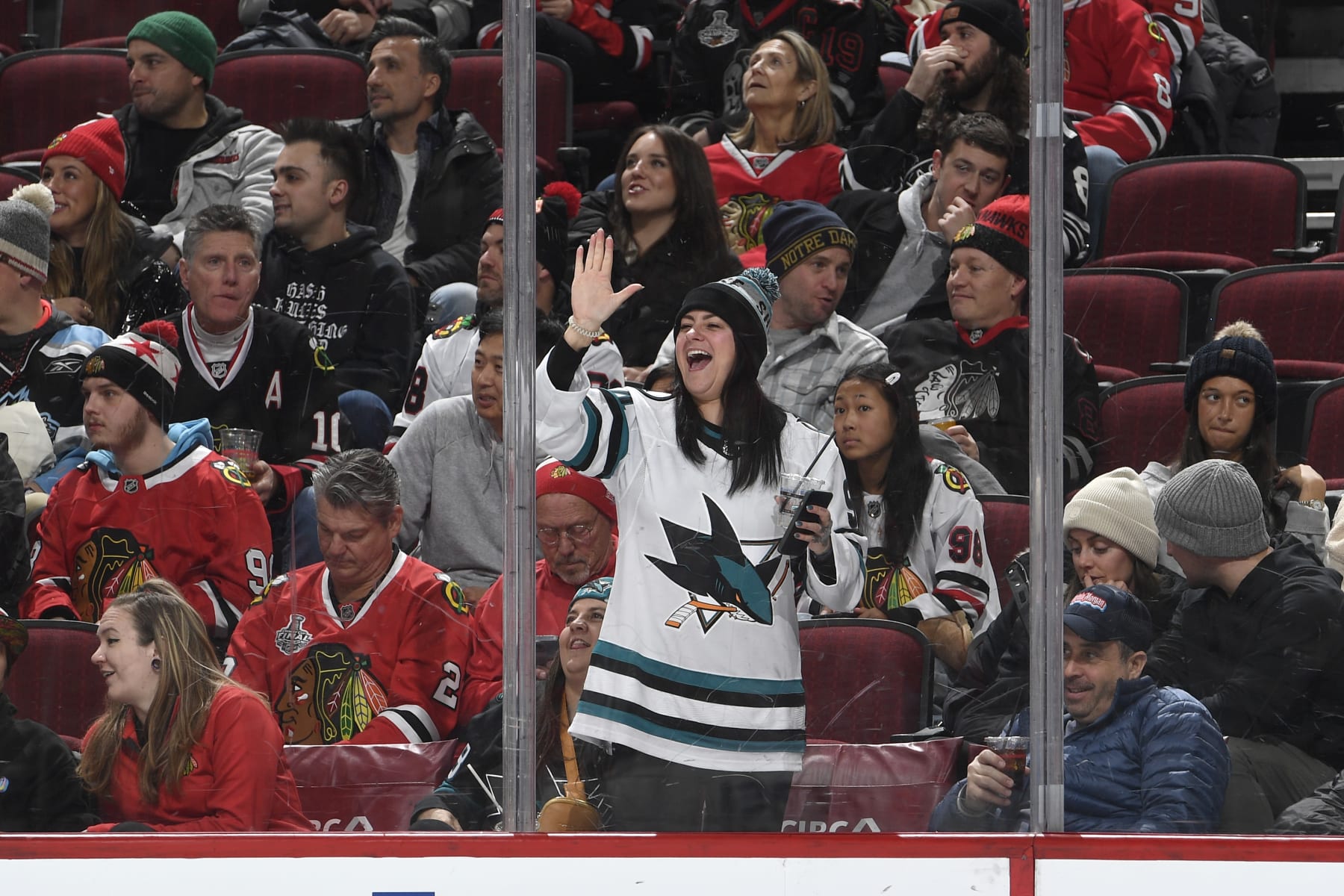 CHICAGO, ILLINOIS - JANUARY 16: A San Jose Sharks fan celebrates after the Sharks score against the Chicago Blackhawks in the third period at the United Center on January 16, 2024 in Chicago, Illinois. (Photo by Bill Smith/NHLI via Getty Images)