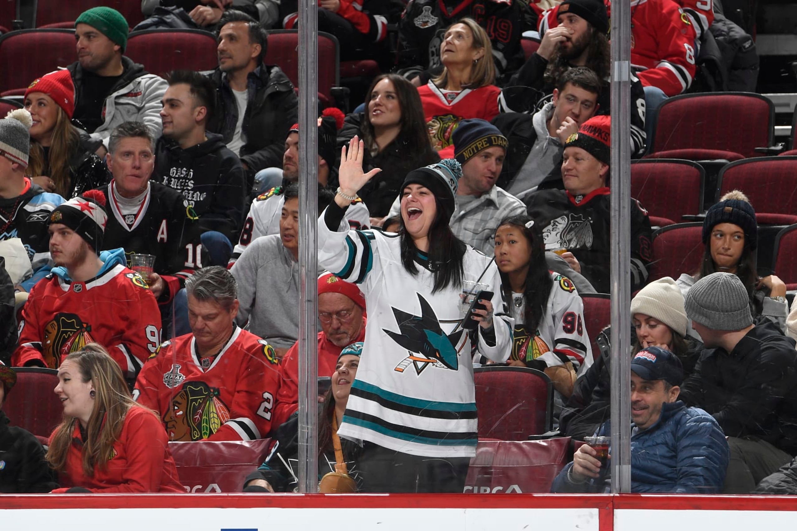 CHICAGO, ILLINOIS - JANUARY 16: A San Jose Sharks fan celebrates after the Sharks score against the Chicago Blackhawks in the third period at the United Center on January 16, 2024 in Chicago, Illinois. (Photo by Bill Smith/NHLI via Getty Images)