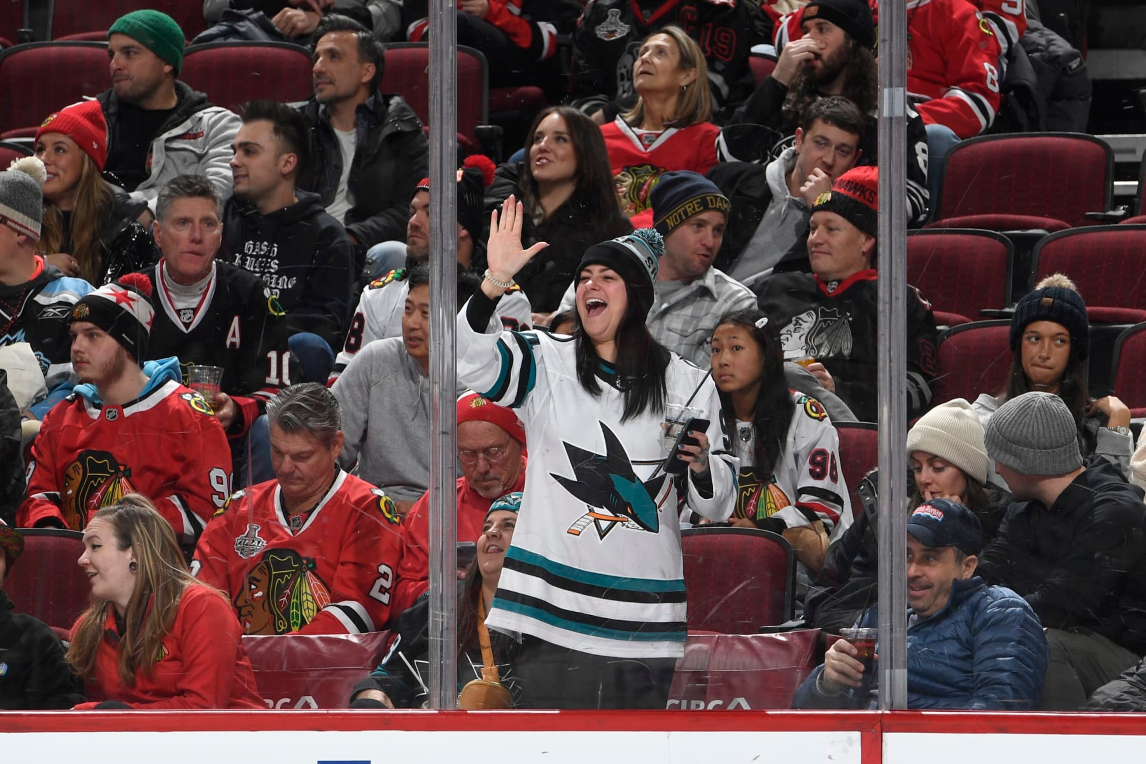 CHICAGO, ILLINOIS - JANUARY 16: A San Jose Sharks fan celebrates after the Sharks score against the Chicago Blackhawks in the third period at the United Center on January 16, 2024 in Chicago, Illinois. (Photo by Bill Smith/NHLI via Getty Images)