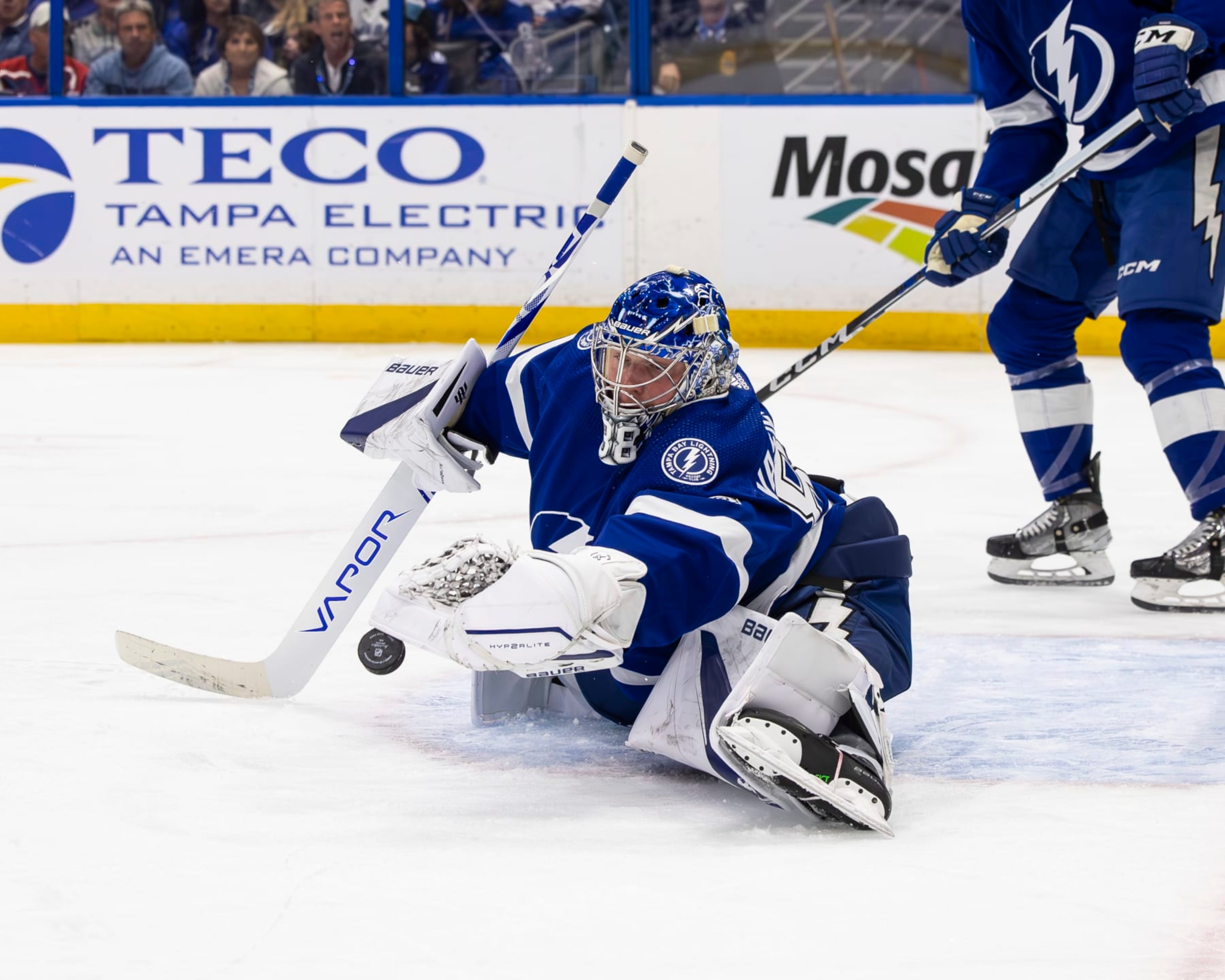 TAMPA, FL - JANUARY 13: Goalie Andrei Vasilevskiy #88 of the Tampa Bay Lightning tends net against Ryan Strome #16 of the Anaheim Ducks during the first period at Amalie Arena on January 13, 2024 in Tampa, Florida. (Photo by Mike Carlson/NHLI via Getty Images)