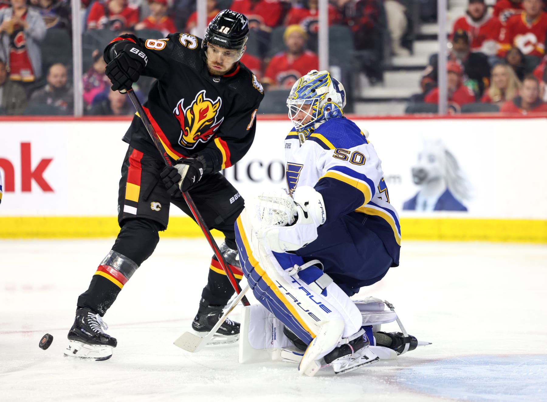 CALGARY, CANADA - JANUARY 23: A.J. Greer #18 of the Calgary Flames and Jordan Binnington #50 of the St. Louis Blues scramble for the puck during the first period at the Scotiabank Saddledome on January 23, 2024 in Calgary, Alberta, Canada. (Photo by Leah Hennel/Getty Images)