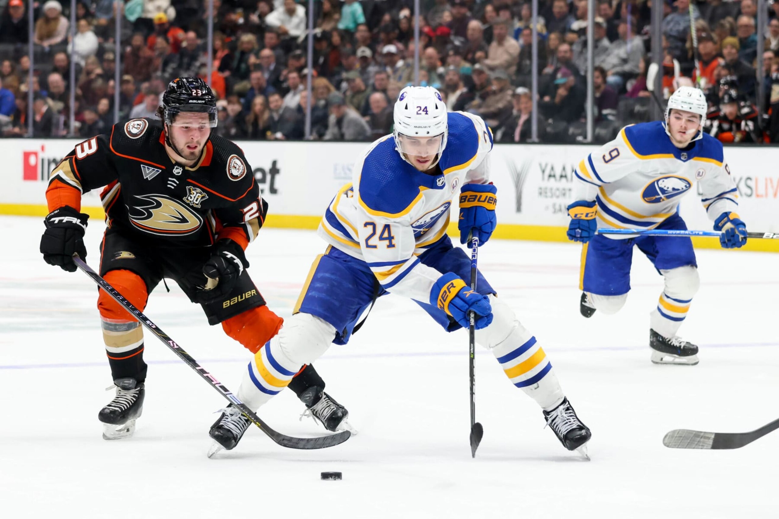 ANAHEIM, CA - JANUARY 23:  Mason McTavish #23 of the Anaheim Ducks and Dylan Cozens #24 of the Buffalo Sabres battle for the puck during the second period against the Buffalo Sabres at Honda Center on January 23, 2024 in Anaheim, California. (Photo by Debora Robinson/NHLI via Getty Images)