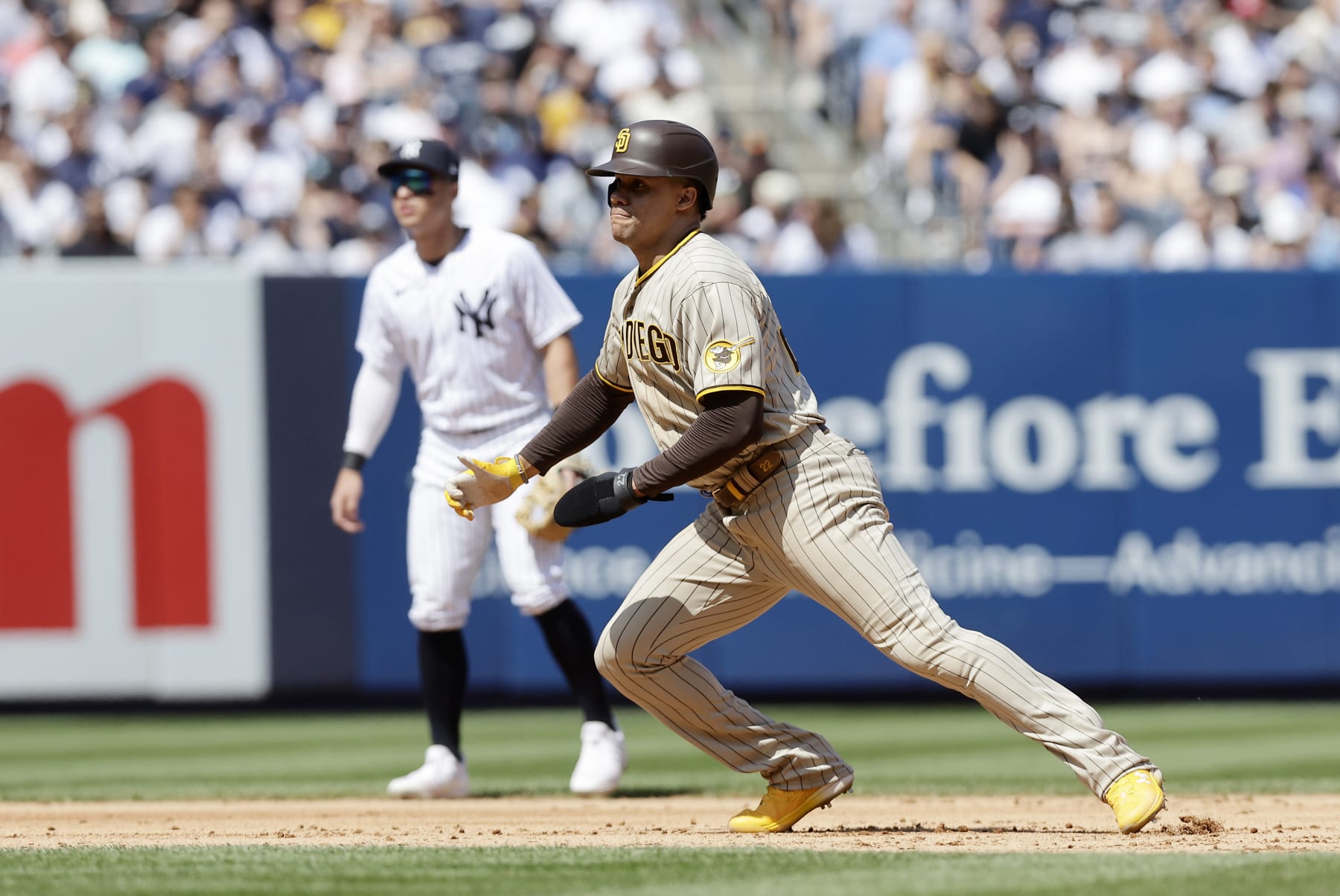BRONX, NEW YORK - MAY 27:  Juan Soto #22 of the San Diego Padres in action against the New York Yankees at Yankee Stadium on May 27, 2023 in Bronx, New York. The Yankees defeated the Padres 3-2 in ten innings. (Photo by Jim McIsaac/Getty Images)