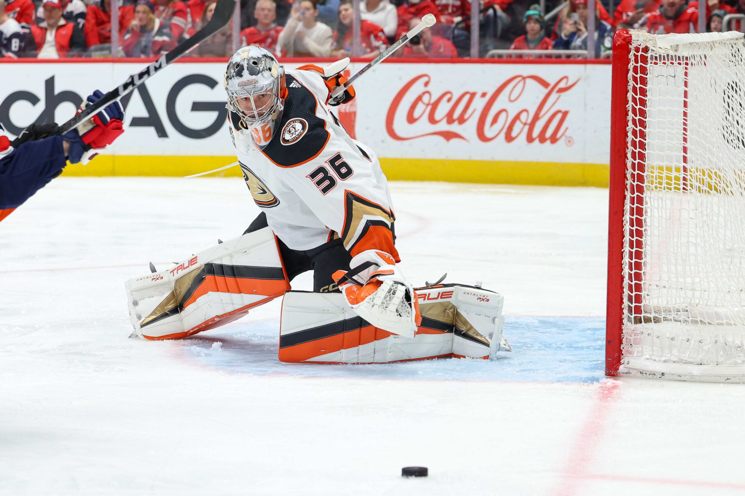 WASHINGTON, DC - JANUARY 16: John Gibson #36 of the Anaheim Ducks makes a save during a game against the Washington Capitals at Capital One Arena on January 16, 2024 in Washington, D.C. (Photo by John McCreary/NHLI via Getty Images)