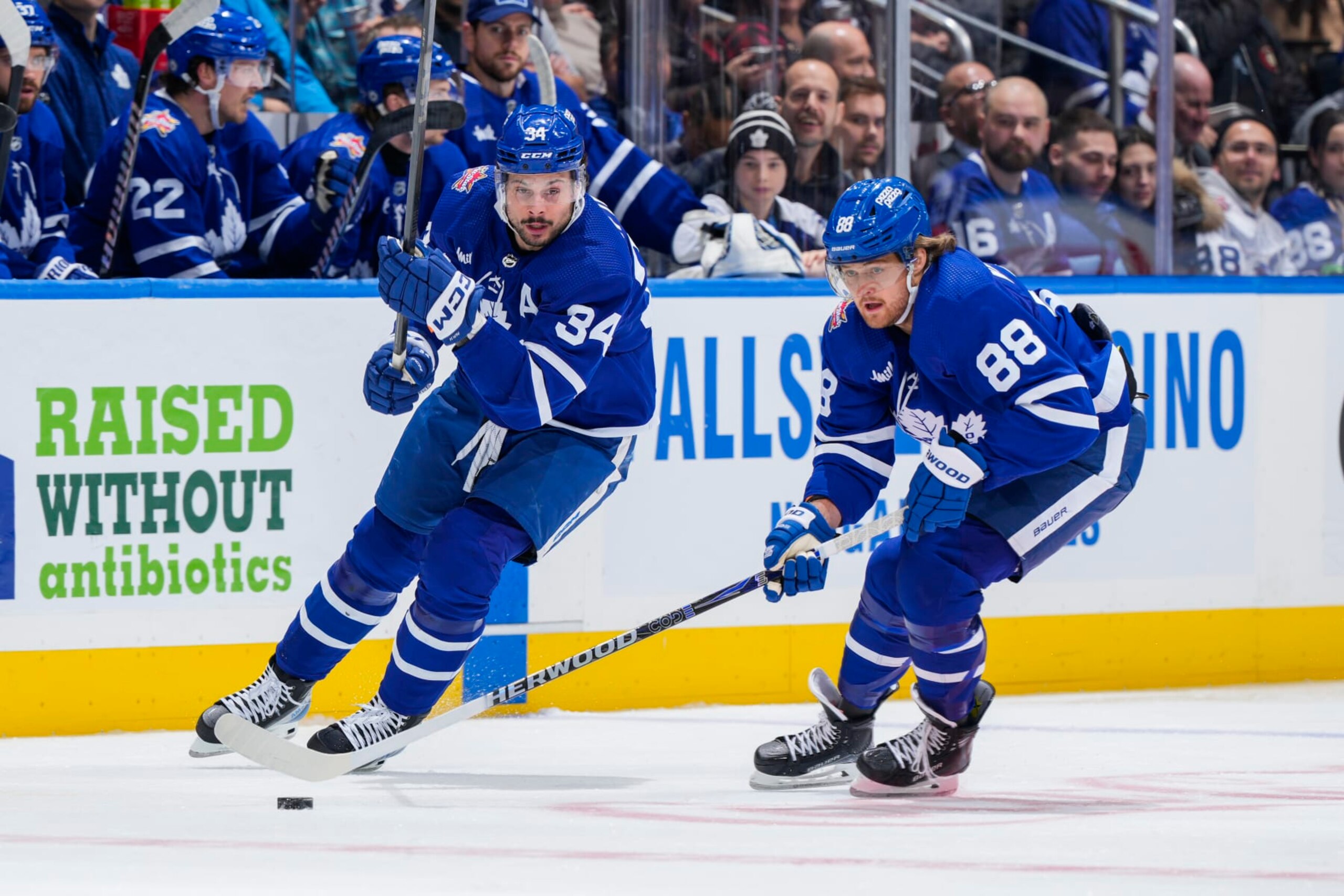TORONTO, ON - JANUARY 14:  William Nylander #88 of the Toronto Maple Leafs plays the puck as teammate Auston Matthews #34 skates against the Detroit Red Wingsduring the first period at Scotiabank Arena on January 14, 2024 in Toronto, Ontario, Canada. (Photo by Mark Blinch/NHLI via Getty Images)