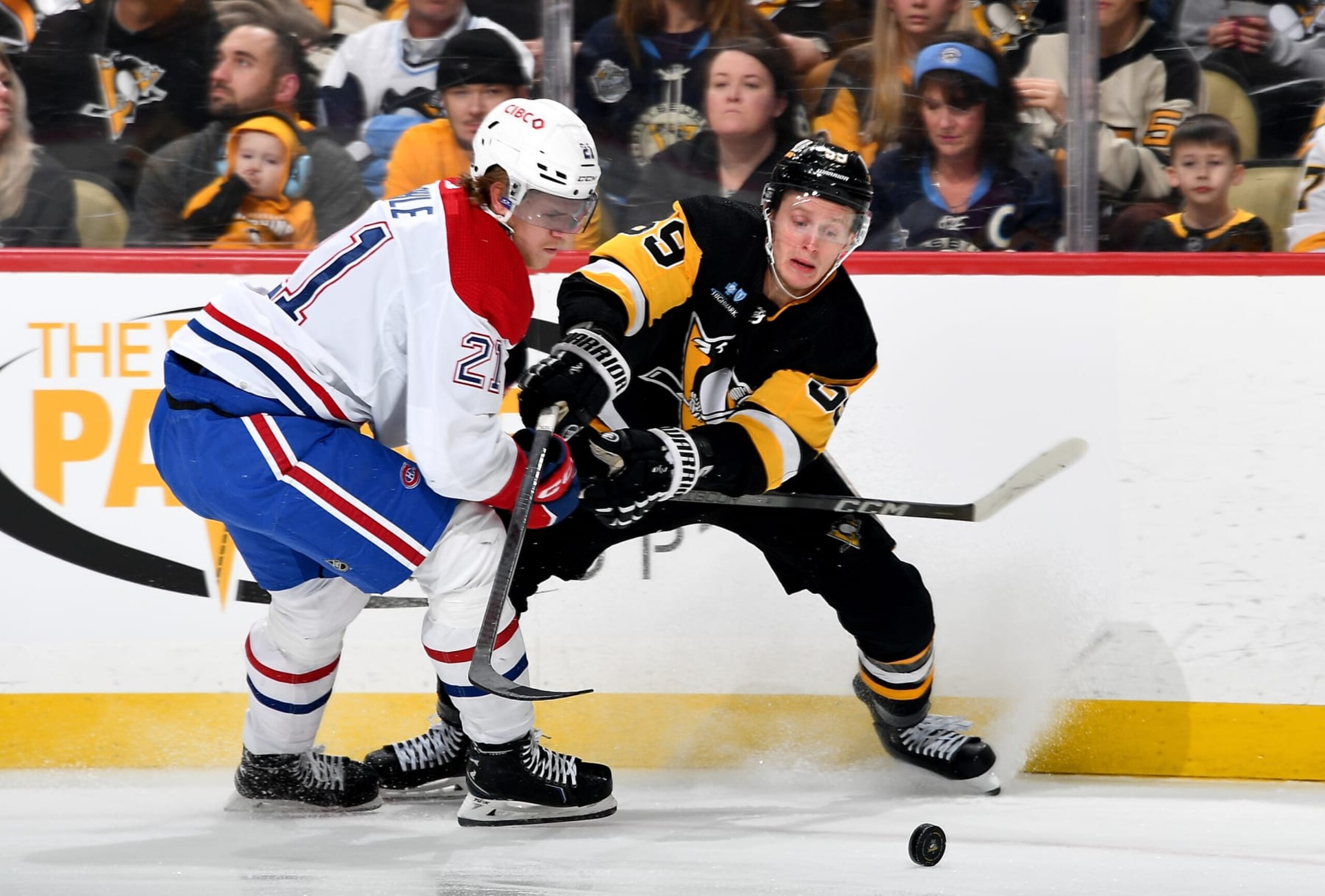 PITTSBURGH, PA - JANUARY 27:  Jake Guentzel #59 of the Pittsburgh Penguins battles against Kaiden Guhle #21 of the Montreal Canadiens at PPG PAINTS Arena on January 27, 2024 in Pittsburgh, Pennsylvania. (Photo by Joe Sargent/NHLI via Getty Images)