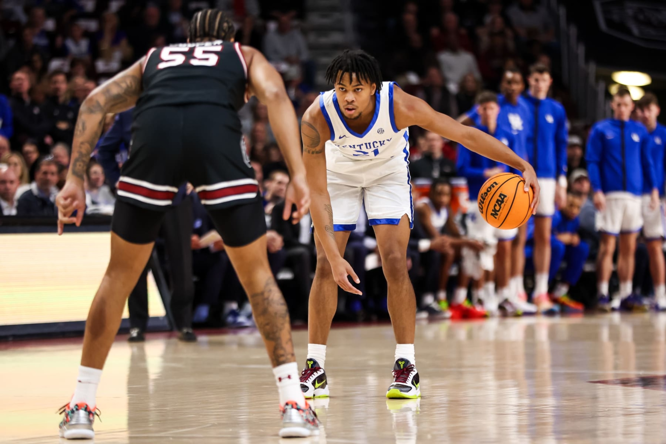 D.J. Wagner, Kentucky