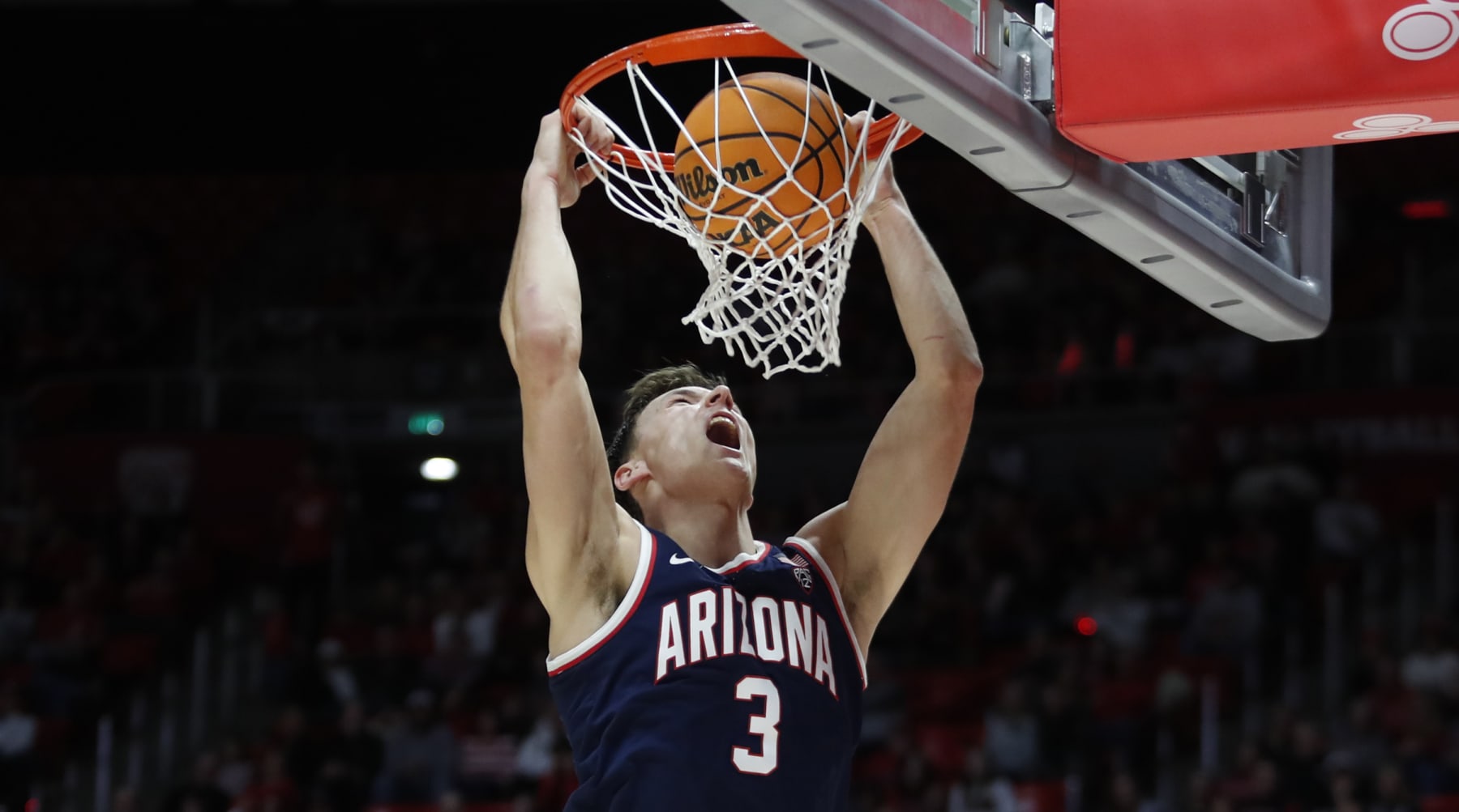 Arizona's Pelle Larsson