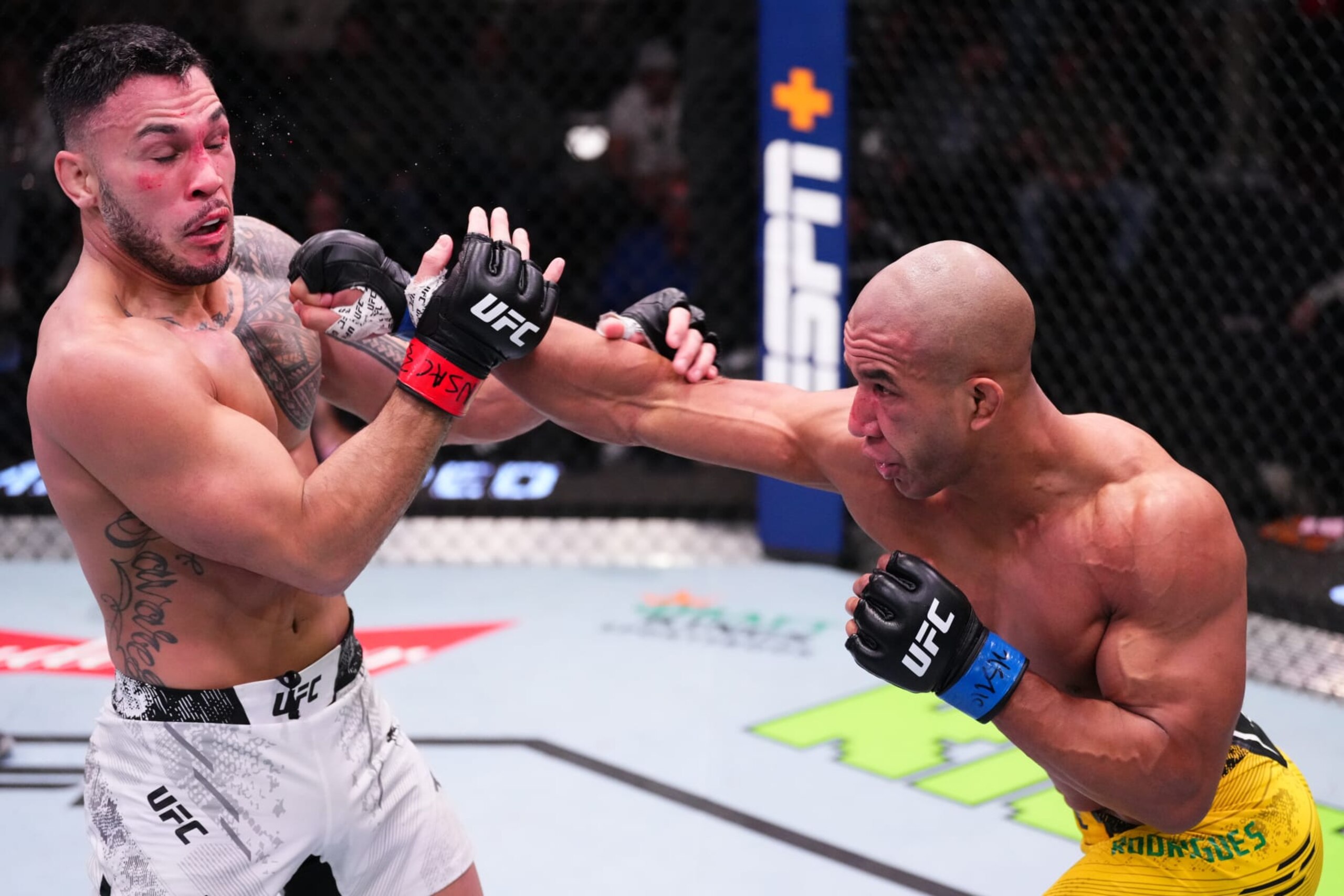 Gregory Rodrigues punches Brad Tavares.