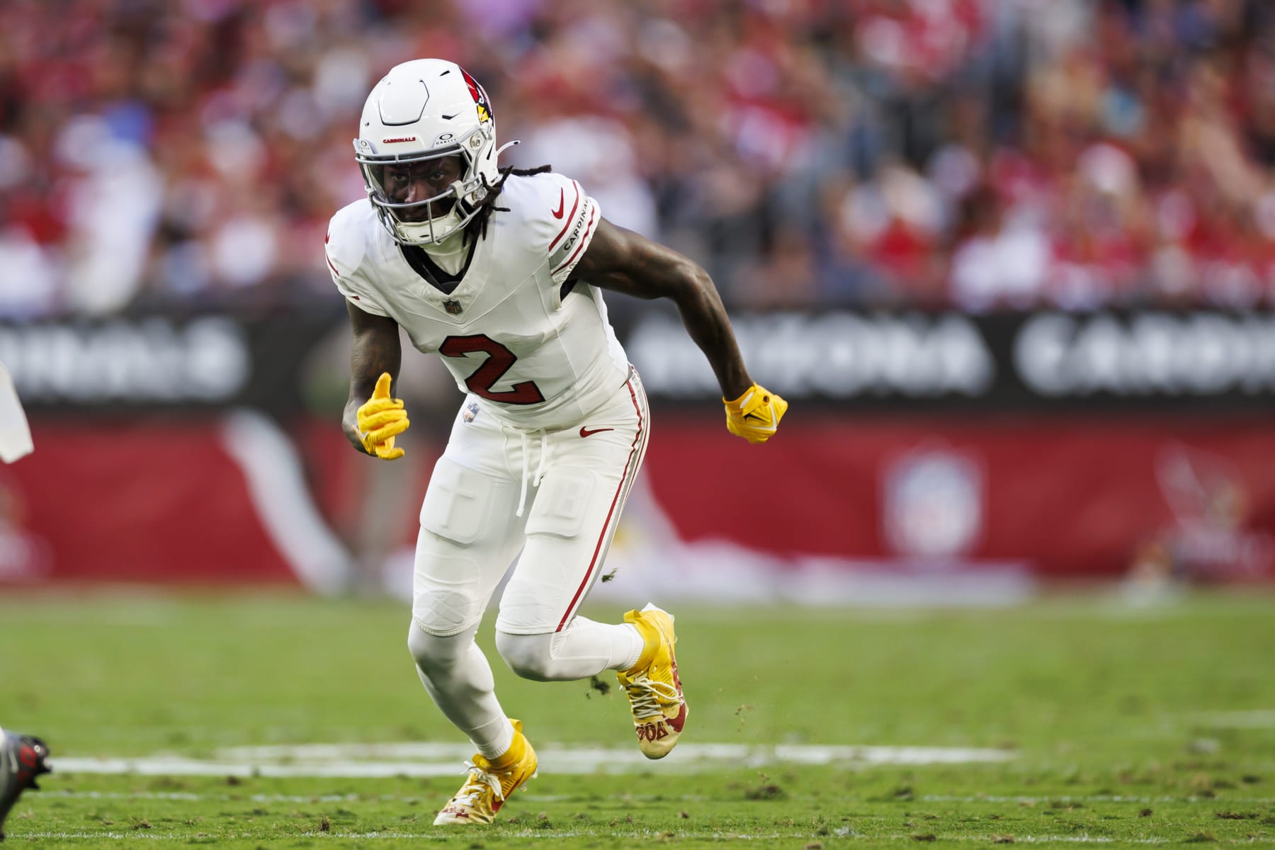 GLENDALE, ARIZONA - DECEMBER 17: Marquise Brown #2 of the Arizona Cardinals runs a route during an NFL football game against the San Francisco 49ers at State Farm Stadium on December 17, 2023 in Glendale, Arizona. (Photo by Ryan Kang/Getty Images)