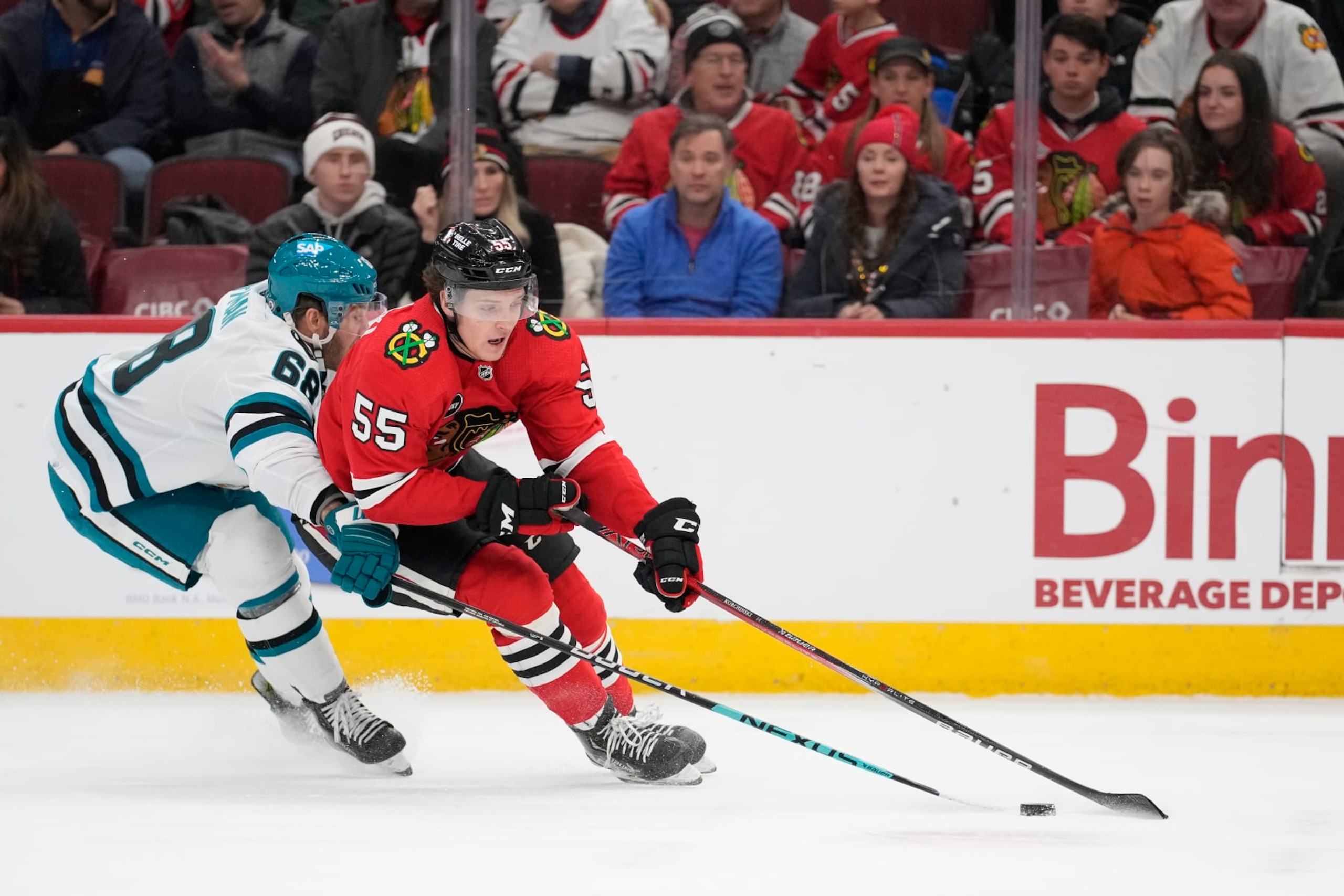 CHICAGO, ILLINOIS - JANUARY 16: Kevin Korchinski #55 of the Chicago Blackhawks skates with the puck against Mike Hoffman #68 of the San Jose Sharks during the first period at the United Center on January 16, 2024 in Chicago, Illinois. (Photo by Patrick McDermott/Getty Images)