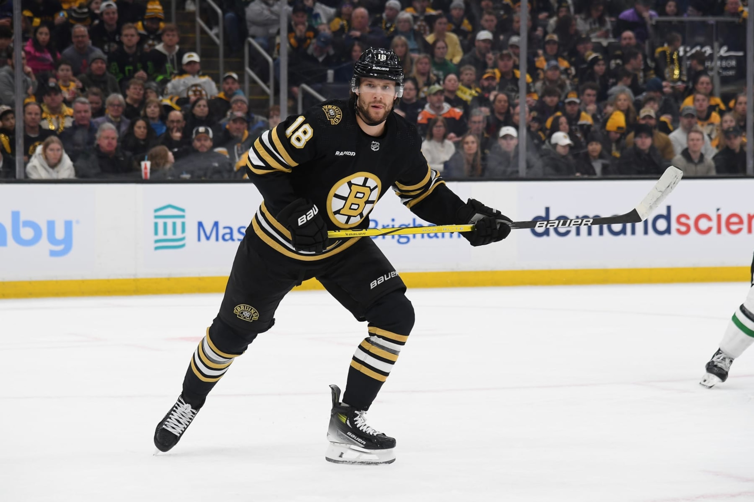 BOSTON, MASSACHUSETTS - FEBRUARY 19: Pavel Zacha #18 of the Boston Bruins skates against the Dallas Stars at the TD Garden on February 19, 2024 in Boston, Massachusetts. (Photo by Steve Babineau/NHLI via Getty Images)