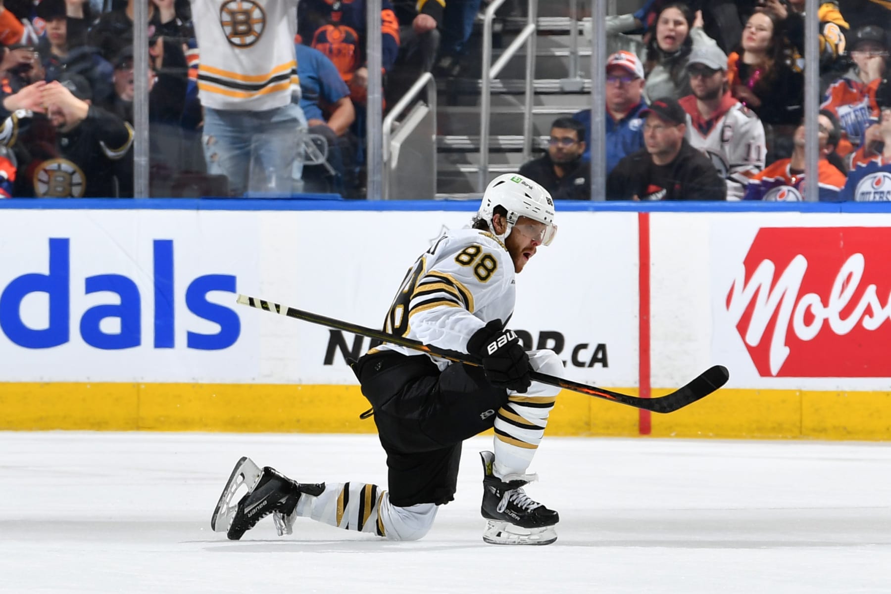 EDMONTON, CANADA - FEBRUARY 21: David Pastrnak #88 of the Boston Bruins celebrates his third-period goal against the Edmonton Oilers during the game at Rogers Place on February 21, 2024, in Edmonton, Alberta, Canada. (Photo by Andy Devlin/NHLI via Getty Images)