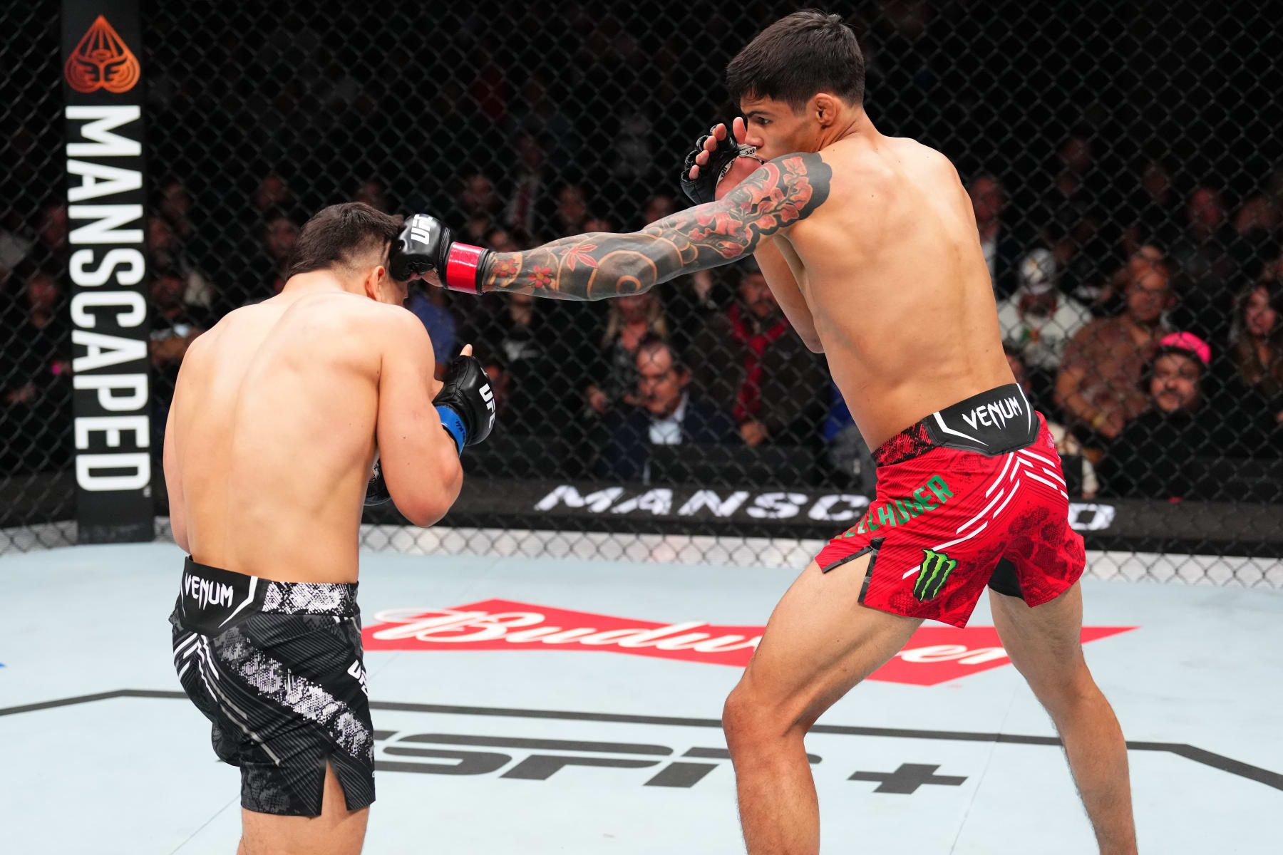MEXICO CITY, MEXICO - FEBRUARY 24: (R-L) Daniel Zellhuber of Mexico faces Francisco Prado of Argentina in a lightweight fight during the UFC Fight Night event at Arena CDMX on February 24, 2024 in Mexico City, Mexico. (Photo by Josh Hedges/Zuffa LLC via Getty Images)