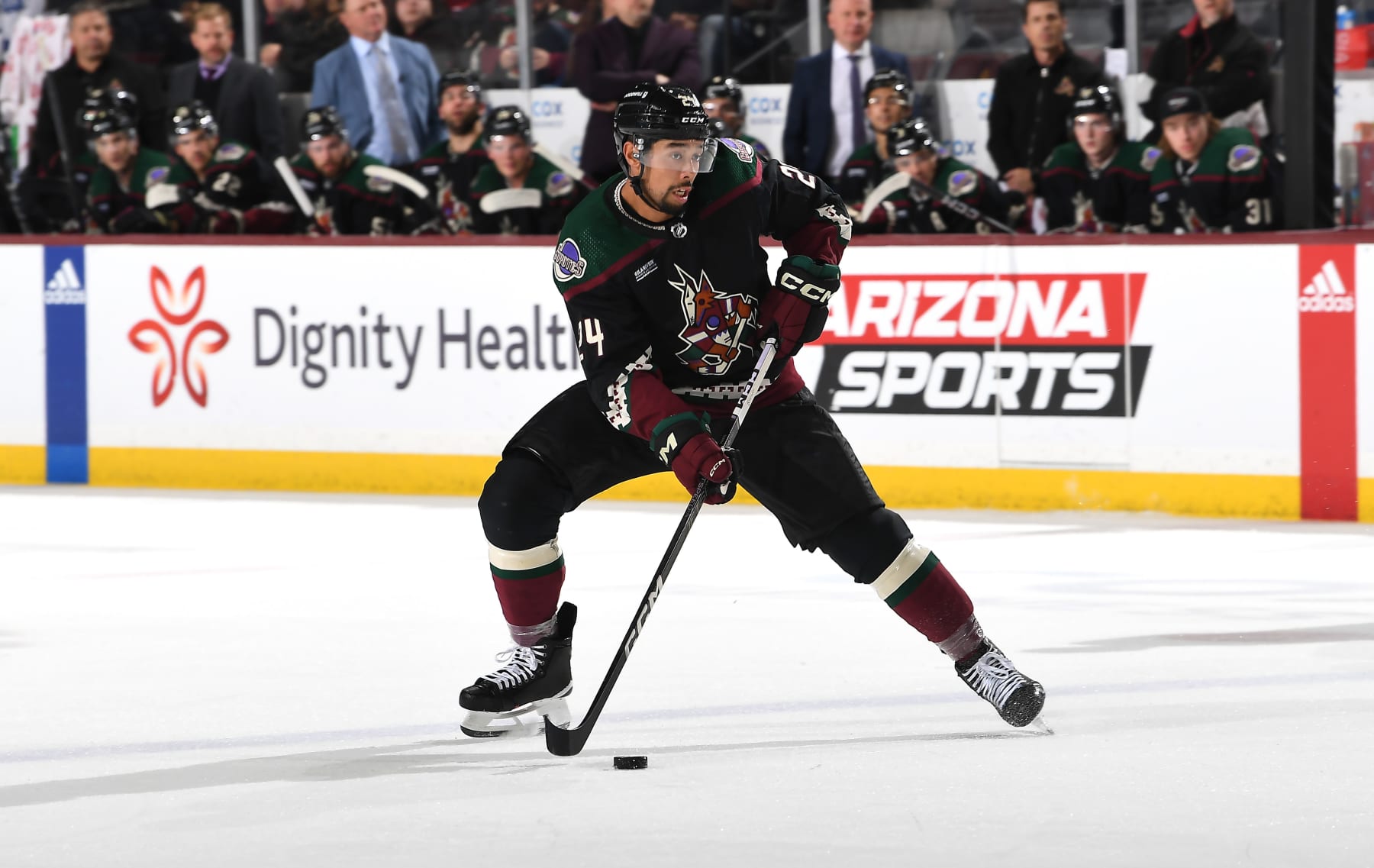 TEMPE, ARIZONA - FEBRUARY 21: Matt Dumba #24 of the Arizona Coyotes skates with the puck against the Toronto Maple Leafs at Mullett Arena on February 21, 2024 in Tempe, Arizona. (Photo by Norm Hall/NHLI via Getty Images)