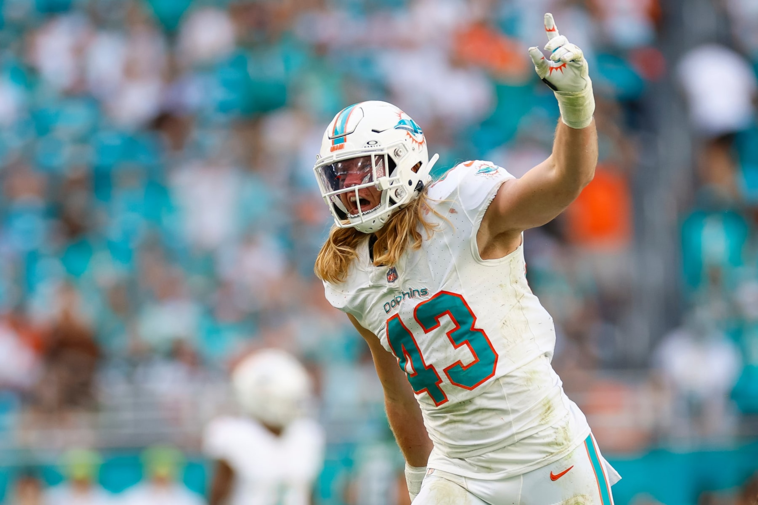 MIAMI GARDENS, FLORIDA - DECEMBER 17: Andrew Van Ginkel #43 of the Miami Dolphins celebrates in the first half during a game against the New York Jets at Hard Rock Stadium on December 17, 2023 in Miami Gardens, Florida. (Photo by Brandon Sloter/Image Of Sport/Getty Images)