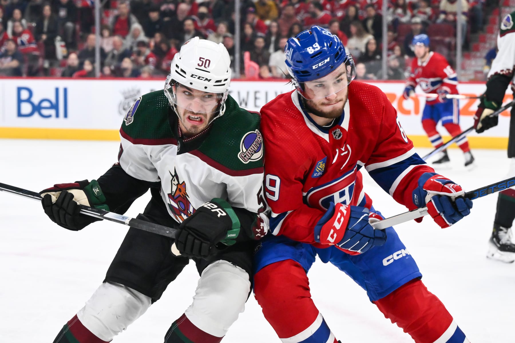 MONTREAL, CANADA - FEBRUARY 27:  Sean Durzi #50 of the Arizona Coyotes and Joshua Roy #89 of the Montreal Canadiens skate against each other during the second period at the Bell Centre on February 27, 2024 in Montreal, Quebec, Canada.  (Photo by Minas Panagiotakis/Getty Images)