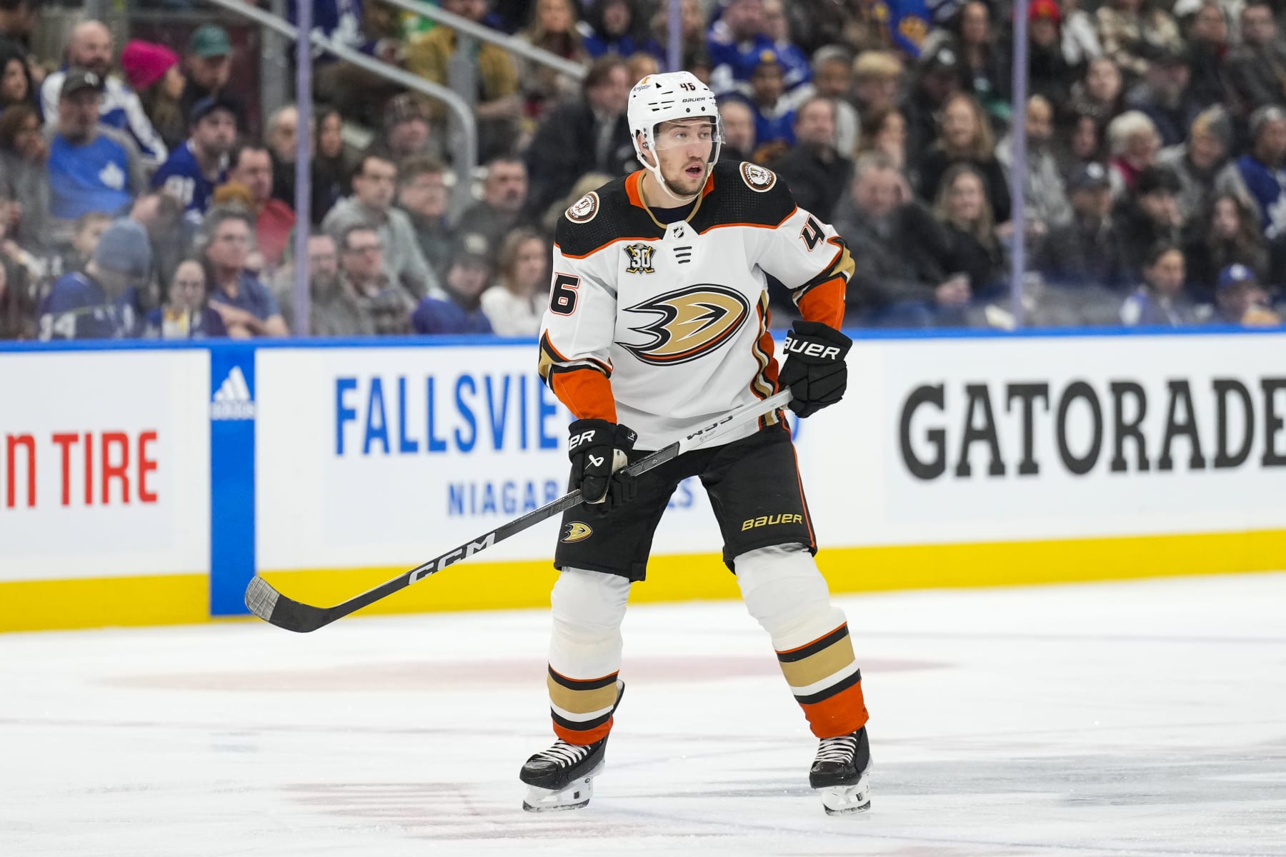 TORONTO, ON - FEBRUARY 17: Ilya Lyubushkin #46 of the Anaheim Ducks skates against the Toronto Maple Leafs during the first period at Scotiabank Arena on February 17, 2024 in Toronto, Ontario, Canada. (Photo by Kevin Sousa/NHLI via Getty Images)
