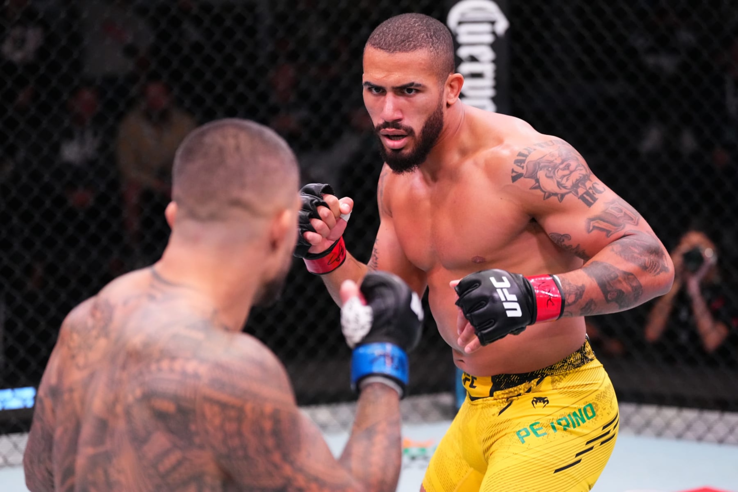 LAS VEGAS, NEVADA - MARCH 02: (R-L) Vitor Petrino of Brazil battles Tyson Pedro of Australia in a light heavyweight bout during the UFC Fight Night event at UFC APEX on March 02, 2024 in Las Vegas, Nevada. (Photo by Jeff Bottari/Zuffa LLC via Getty Images)