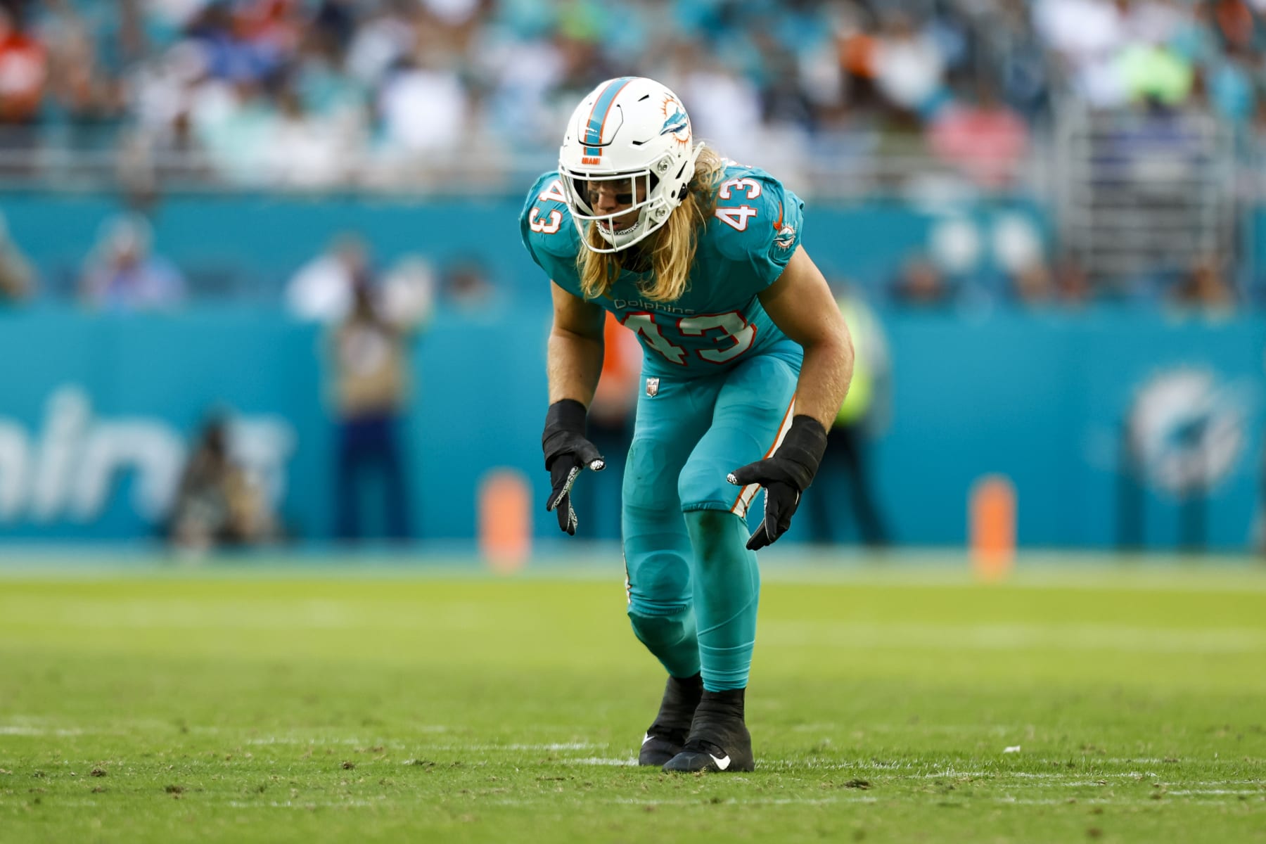 MIAMI GARDENS, FL - JANUARY 8: Andrew Van Ginkel #43 of the Miami Dolphins lines up before a play during an NFL football game against the New York Jets at Hard Rock Stadium on January 8, 2023 in Miami Gardens, Florida. (Photo by Kevin Sabitus/Getty Images)