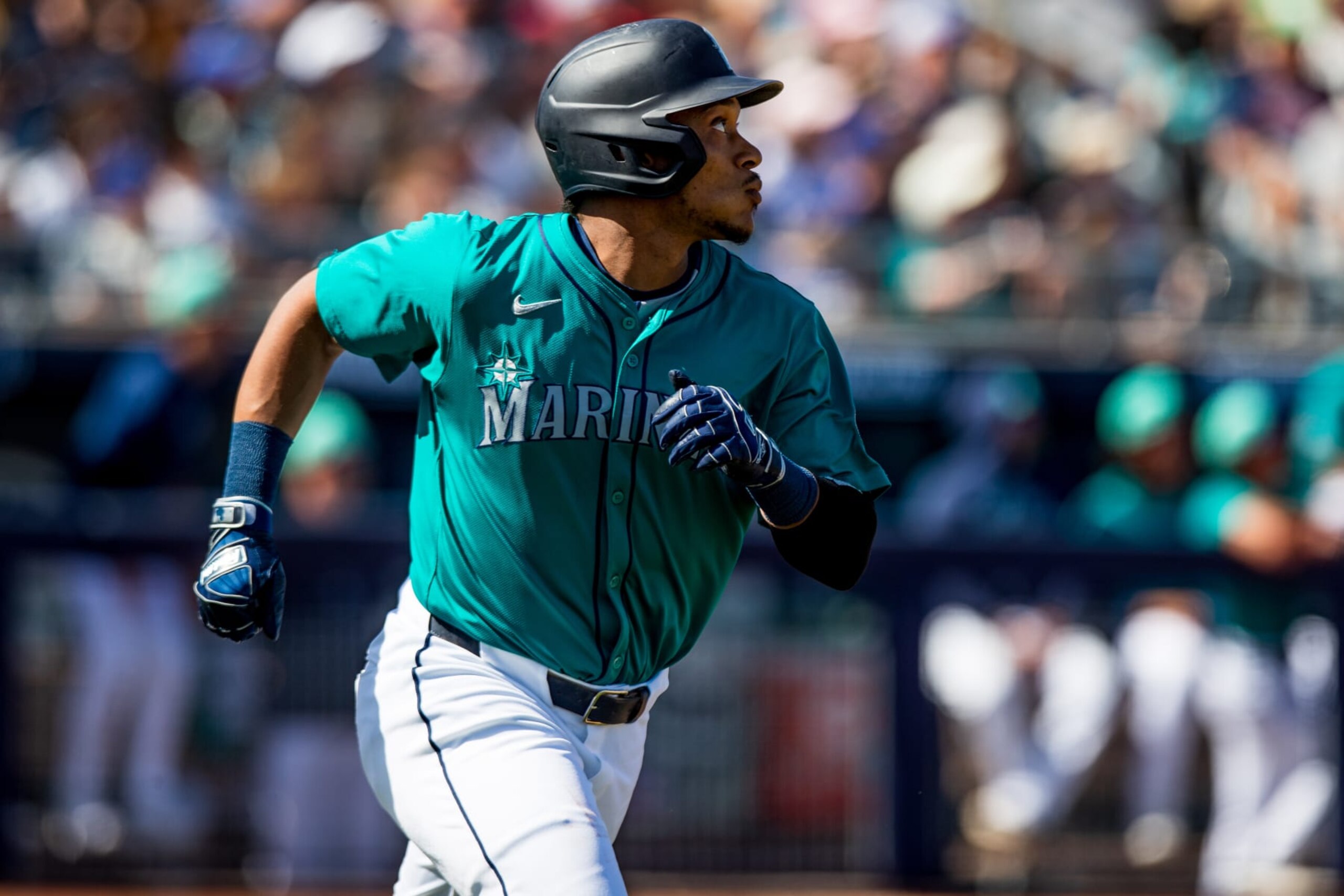 Jorge Polanco