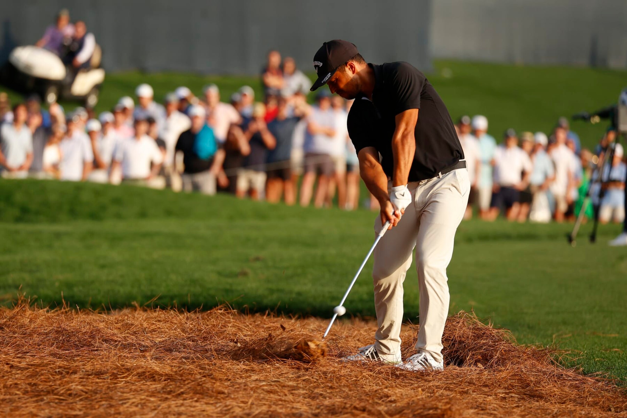 Xander Schauffele Xander Schauffele
