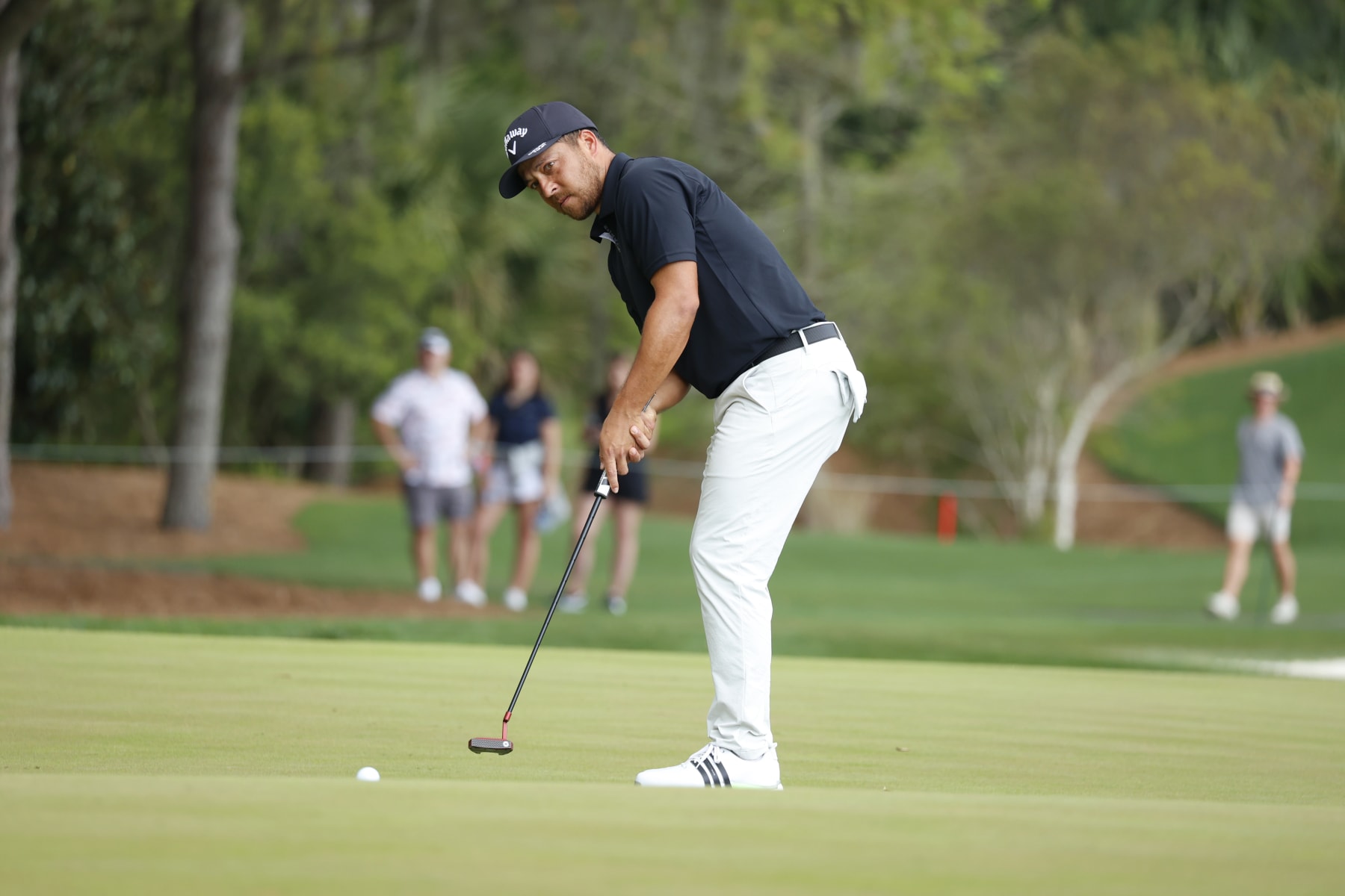 Xander Schauffele