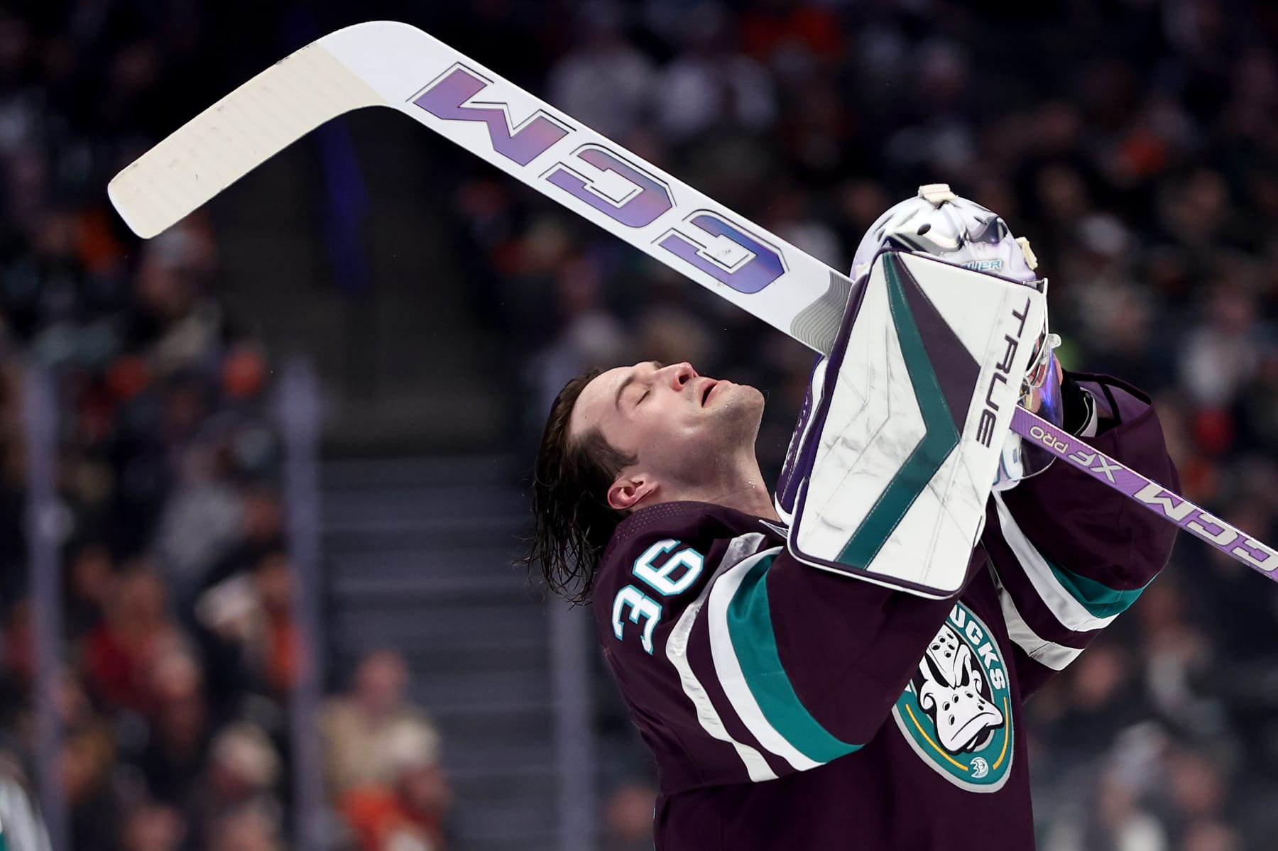 ANAHEIM, CALIFORNIA - MARCH 19: John Gibson #36 of the Anaheim Ducks puts on his helmet during the first period of a game against the Minnesota Wild at Honda Center on March 19, 2024 in Anaheim, California. (Photo by Sean M. Haffey/Getty Images)