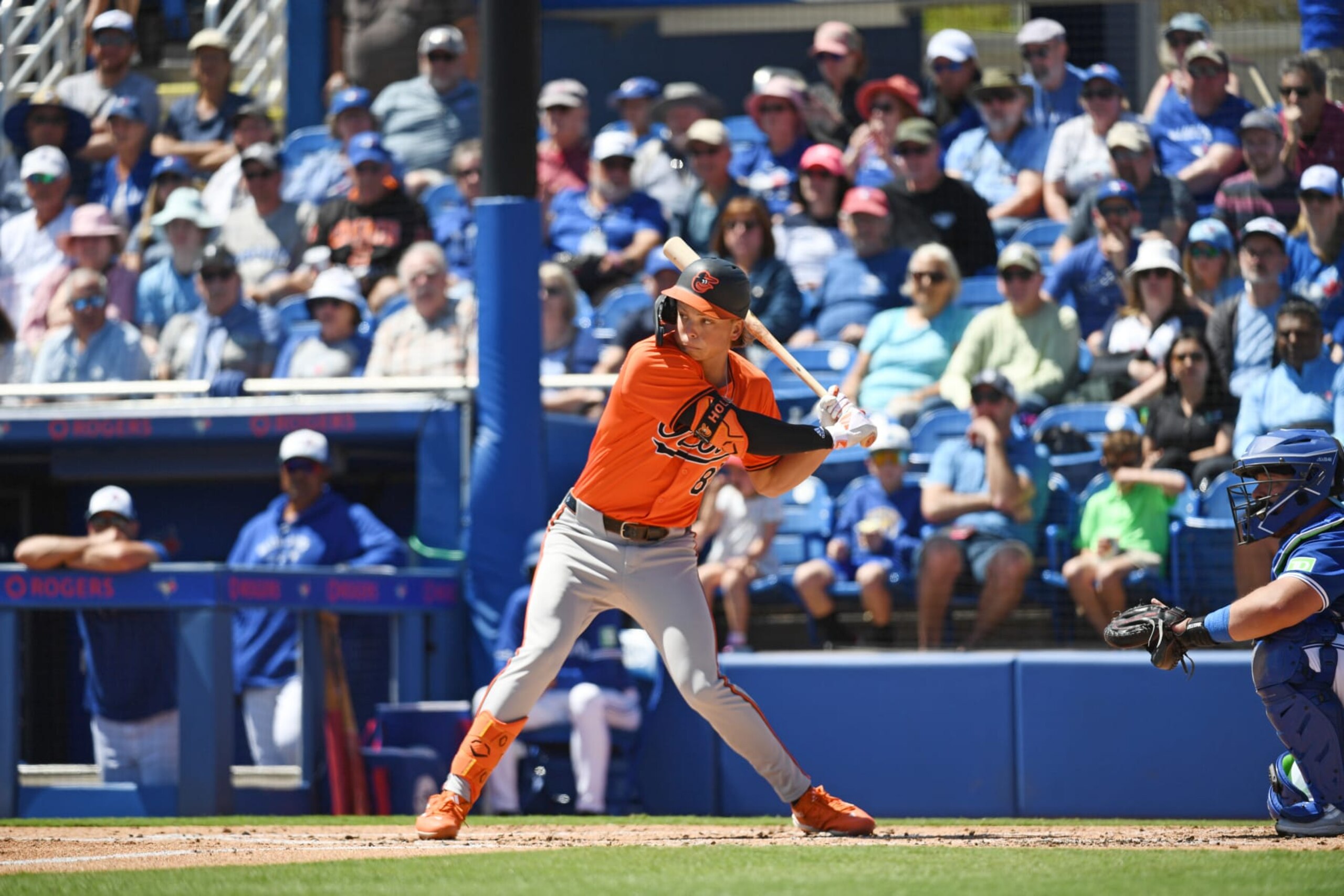 DUNEDIN, FLORIDA - MARCH 19, 2024: Jackson Holliday #87 of the Baltimore Orioles bats during the second inning of a spring training game against the Toronto Blue Jays at TD Ballpark on March 19, 2024 in Dunedin, Florida. (Photo by George Kubas/Diamond Images via Getty Images) DUNEDIN, FLORIDA - MARCH 19, 2024: Jackson Holliday #87 of the Baltimore Orioles bats during the second inning of a spring training game against the Toronto Blue Jays at TD Ballpark on March 19, 2024 in Dunedin, Florida. (Photo by George Kubas/Diamond Images via Getty Images)