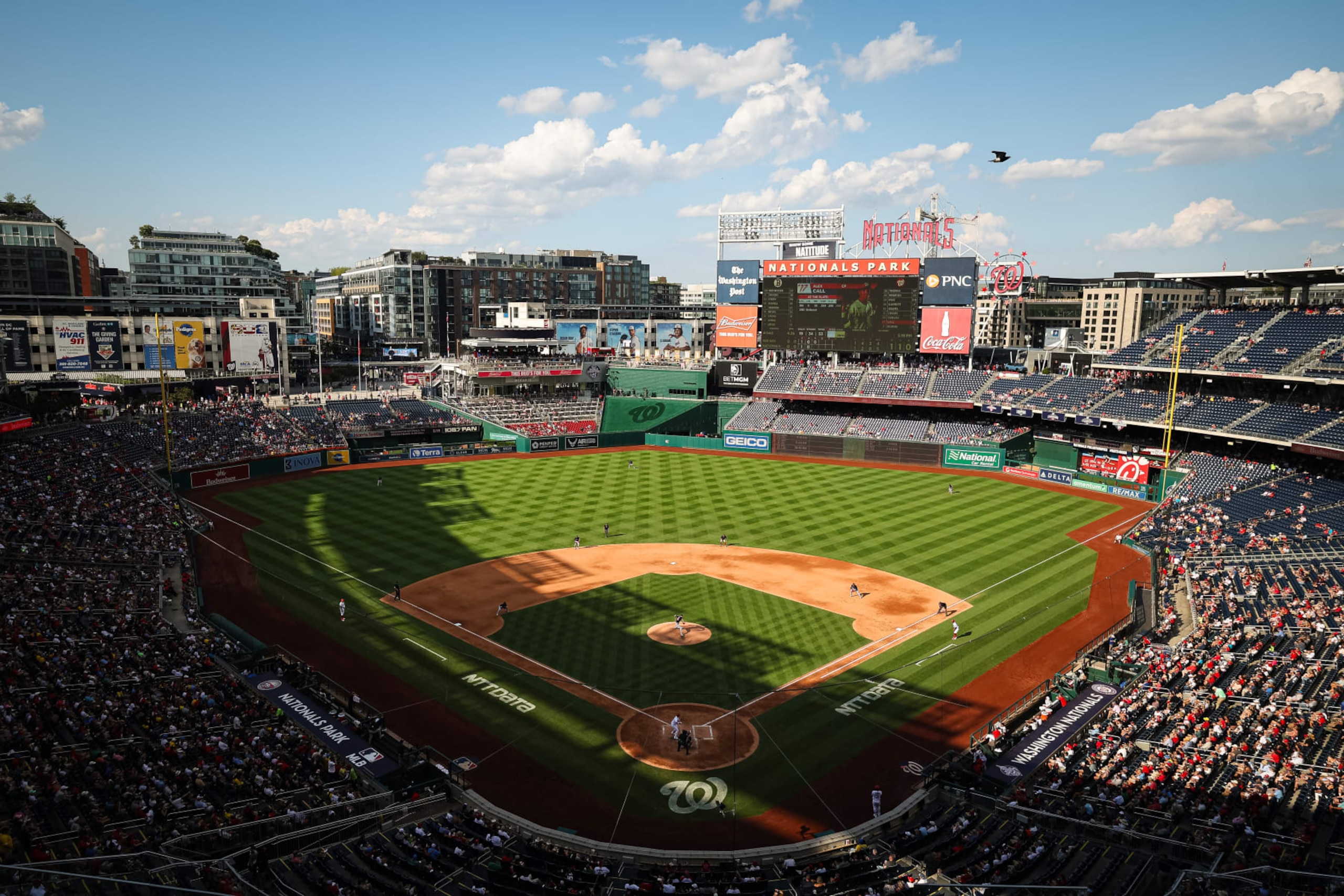 WASHINGTON, DC - AUGUST 17: A general view as a bird flies by as Chris Sale #41 of the Boston Red Sox pitches against the Washington Nationals during the fifth inning at Nationals Park on August 17, 2023 in Washington, DC. (Photo by Scott Taetsch/Getty Images)