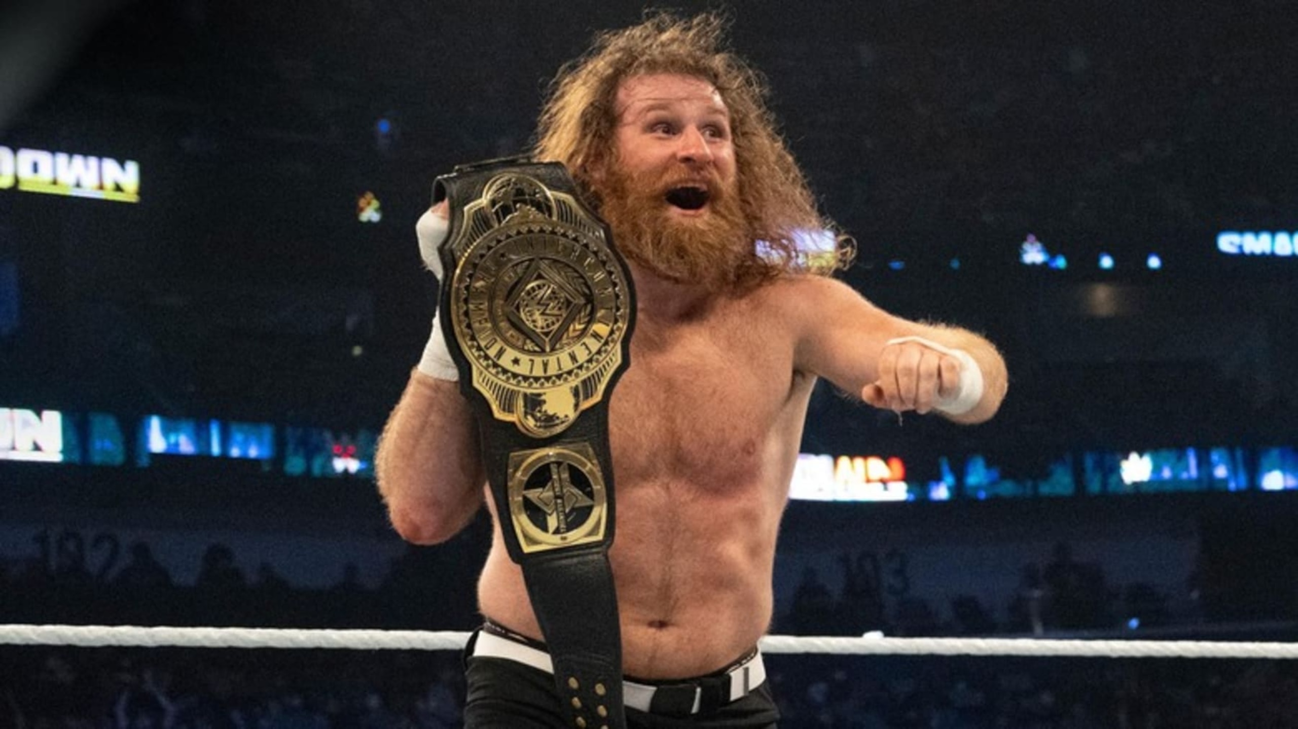 Sami Zayn won in the biggest match of his career and regained the Intercontinental Championship.