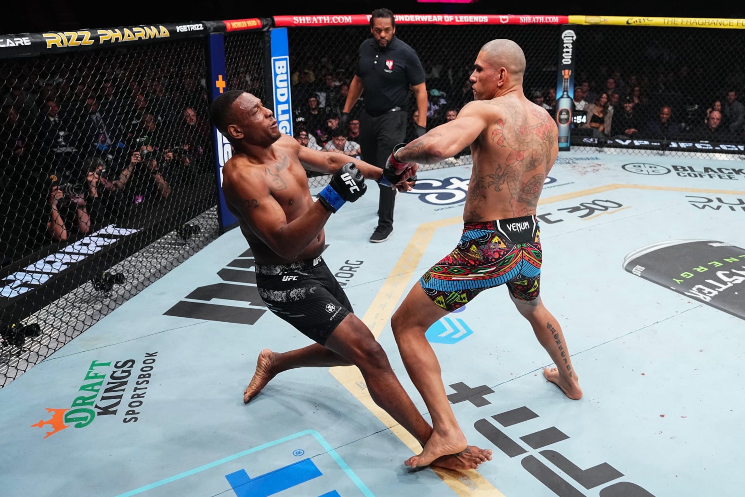 Alex Pereira knocks out Jamahal Hill at UFC 300