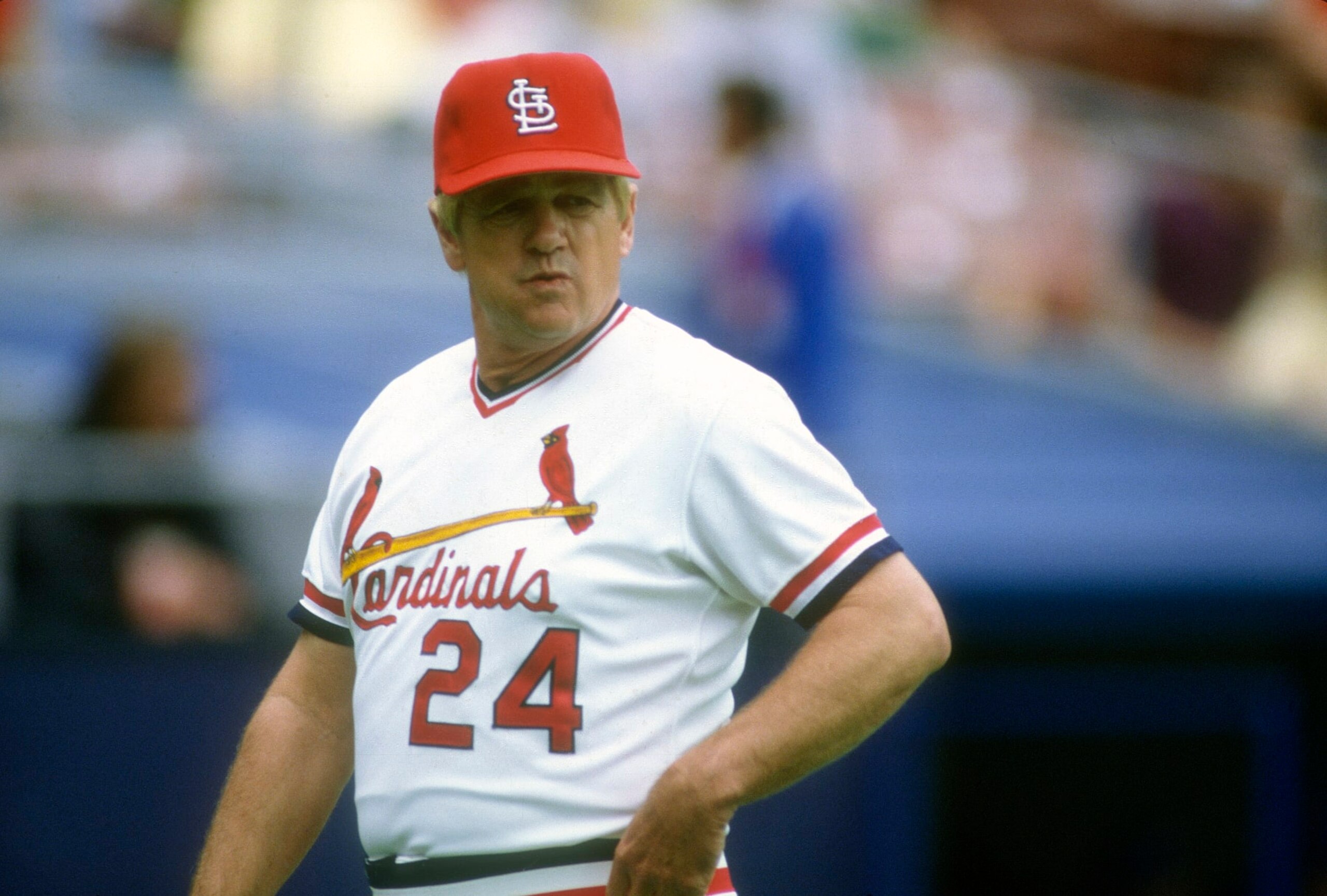 ST LOUIS, MO - CIRCA 1984: Manager Whitey Herzog #24 of the St. Louis Cardinals looks on walking back to the dugout during a Major League Baseball game circa 1984 at Busch Stadium in St Louis, Missouri. Herzog Managed the Cardinals from 1980-90. (Photo by Focus on Sport/Getty Images) ST LOUIS, MO - CIRCA 1984: Manager Whitey Herzog #24 of the St. Louis Cardinals looks on walking back to the dugout during a Major League Baseball game circa 1984 at Busch Stadium in St Louis, Missouri. Herzog Managed the Cardinals from 1980-90. (Photo by Focus on Sport/Getty Images)