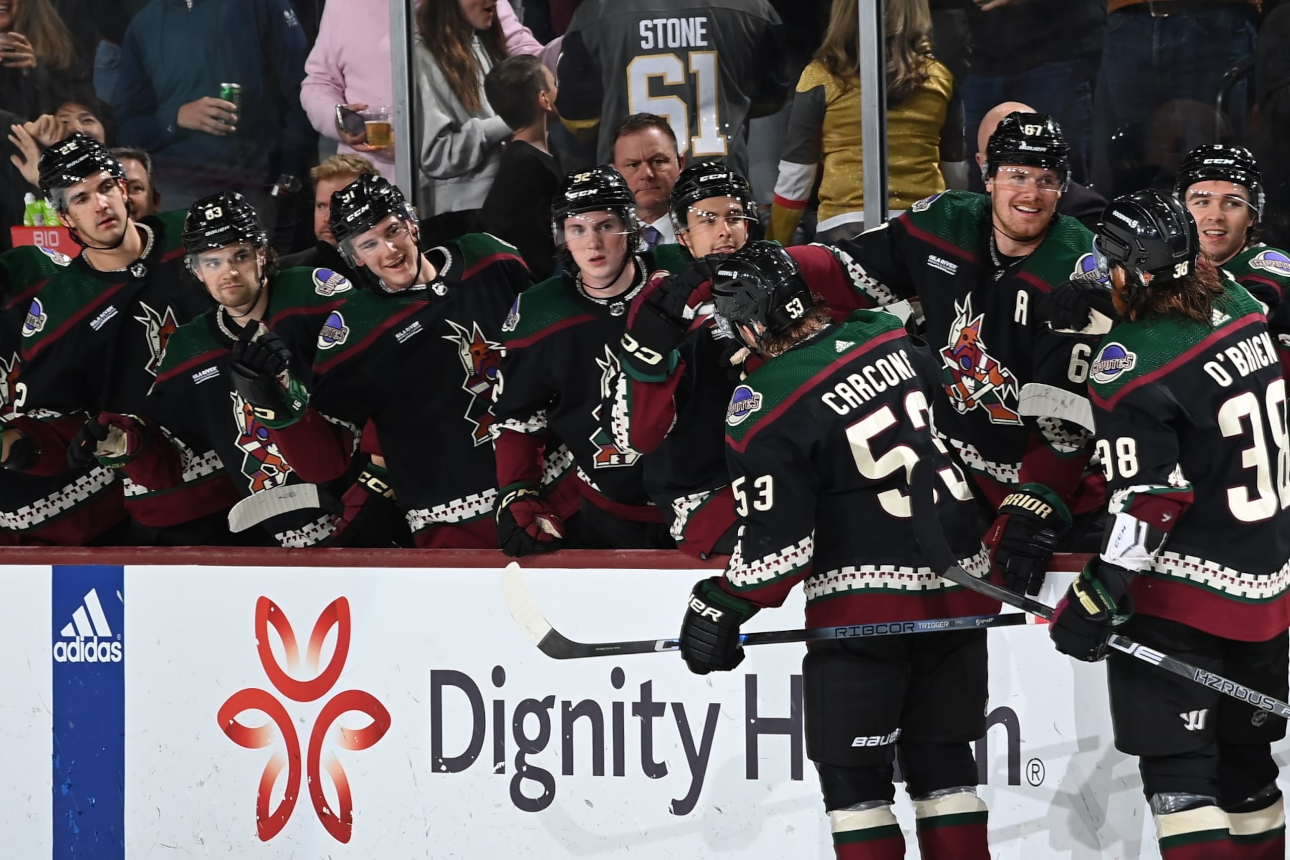 TEMPE, ARIZONA - APRIL 05: Michael Carcone #53 of the Arizona Coyotes celebrates with teammates on the bench after scoring a goal against the Vegas Golden Knights during the third period of the game at Mullett Arena on April 05, 2024 in Tempe, Arizona. (Photo by Norm Hall/NHLI via Getty Images)
