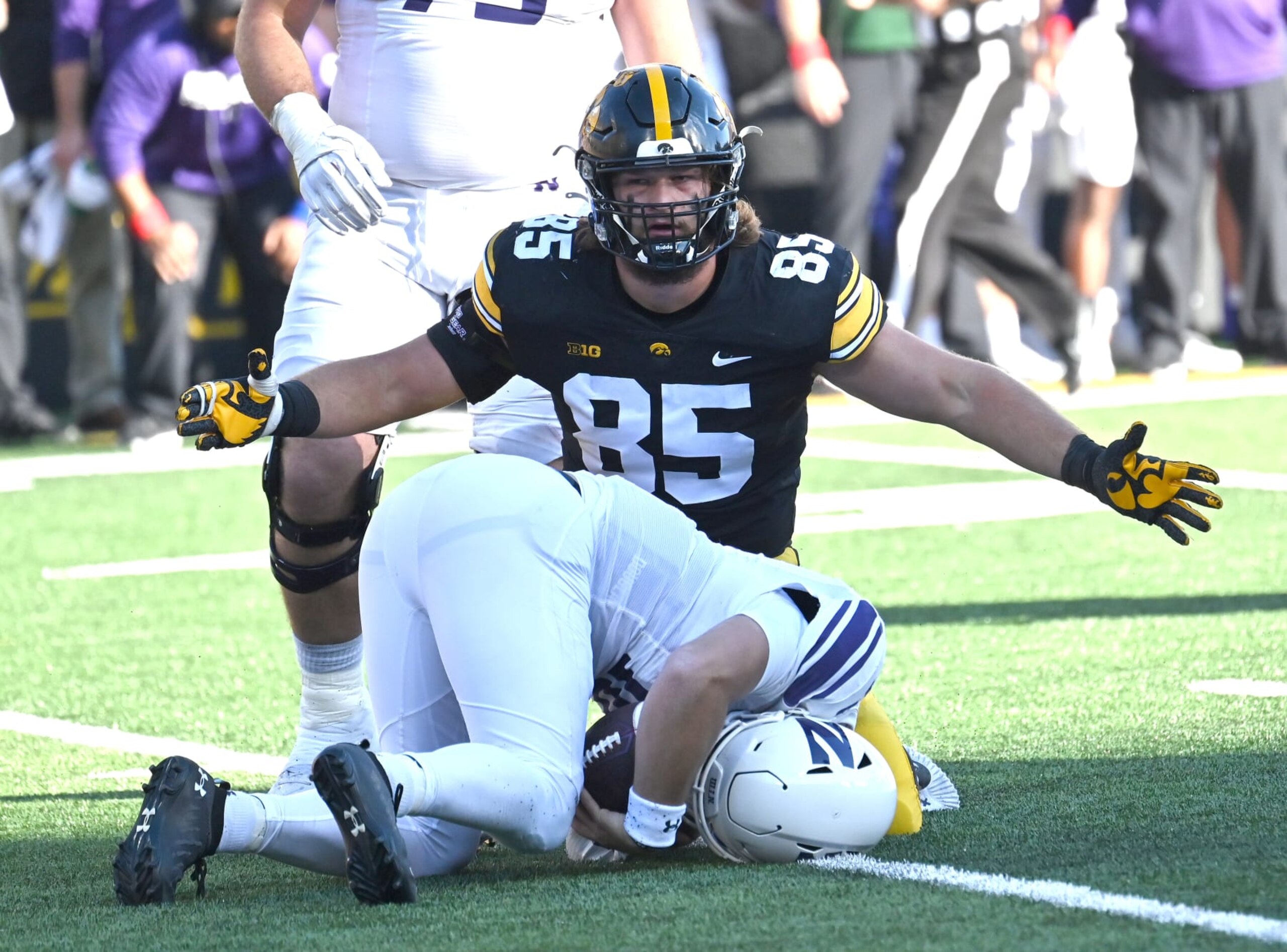IOWA CITY, IA - OCTOBER 29: Iowa right defensive tackle Logan Lee (85) celebrates after sacking Northwestern quarterback Brendan Sullivan (10) during a college football game between the Northwestern Wildcats and the Iowa Hawkeyes, October 29, 2022, at Kinnick Stadium, Iowa City, IA. Photo by Keith Gillett/IconSportswire.