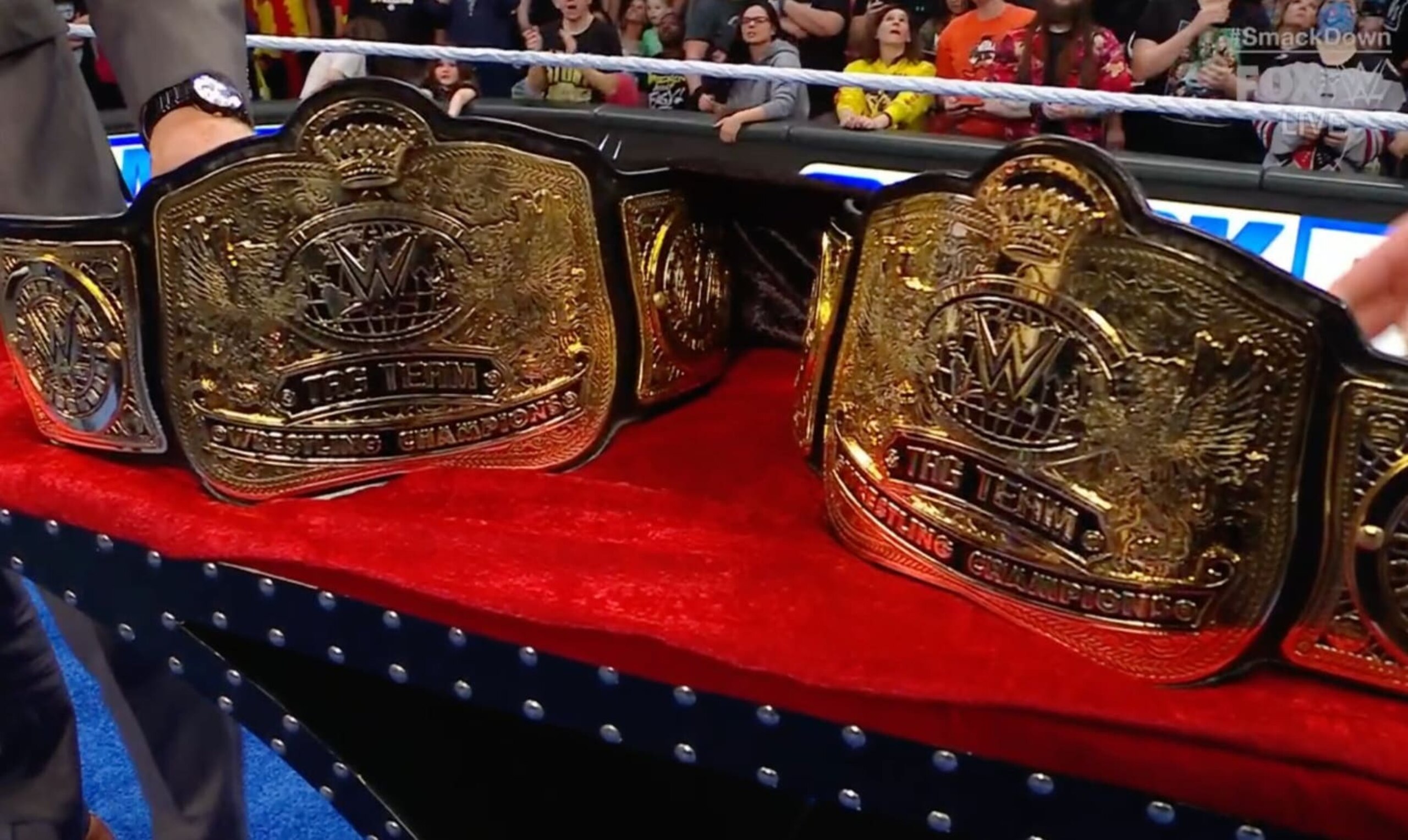 The new WWE tag titles.