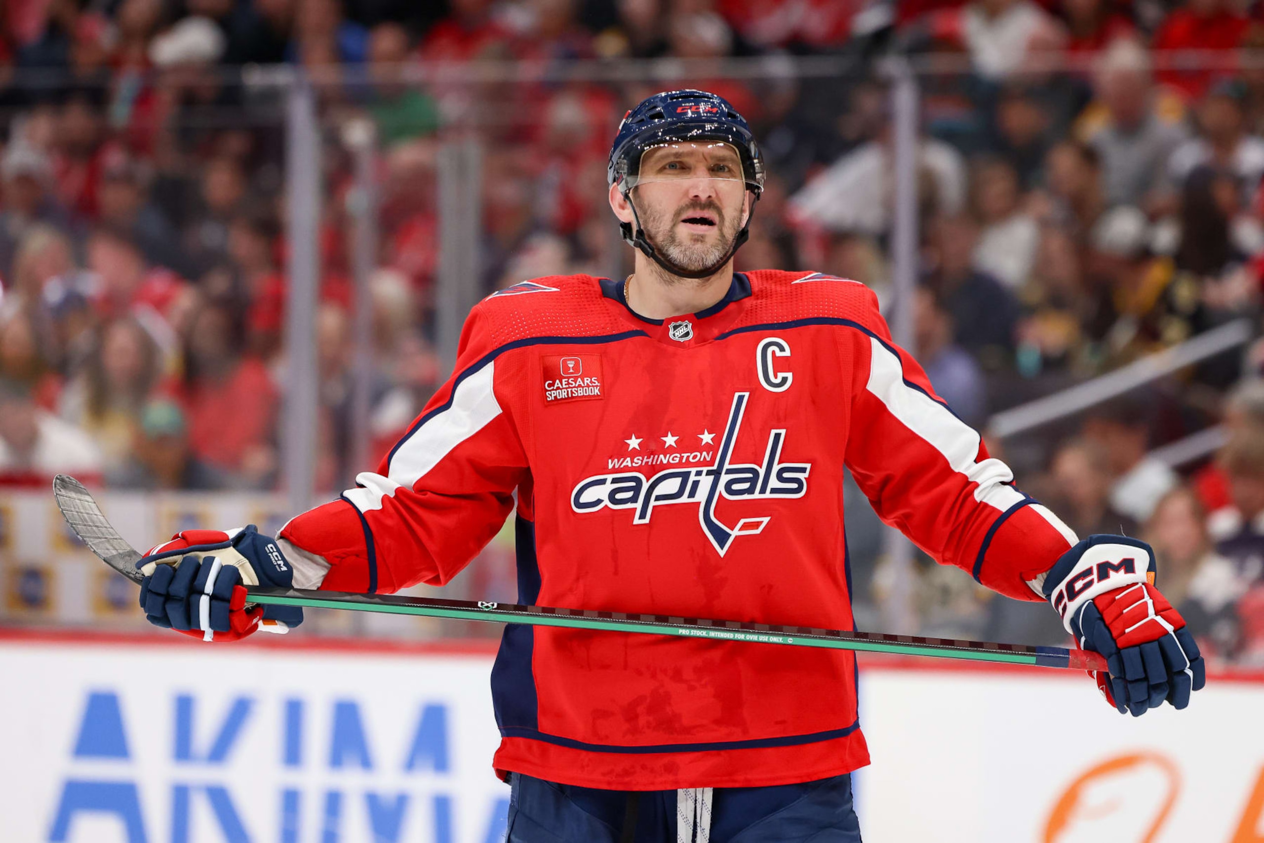 WASHINGTON, DC - APRIL 15: Alex Ovechkin #8 of the Washington Capitals gets set for a face-off during a game against the Boston Bruins at Capital One Arena on April 15, 2024 in Washington, D.C. (Photo by John McCreary/NHLI via Getty Images)