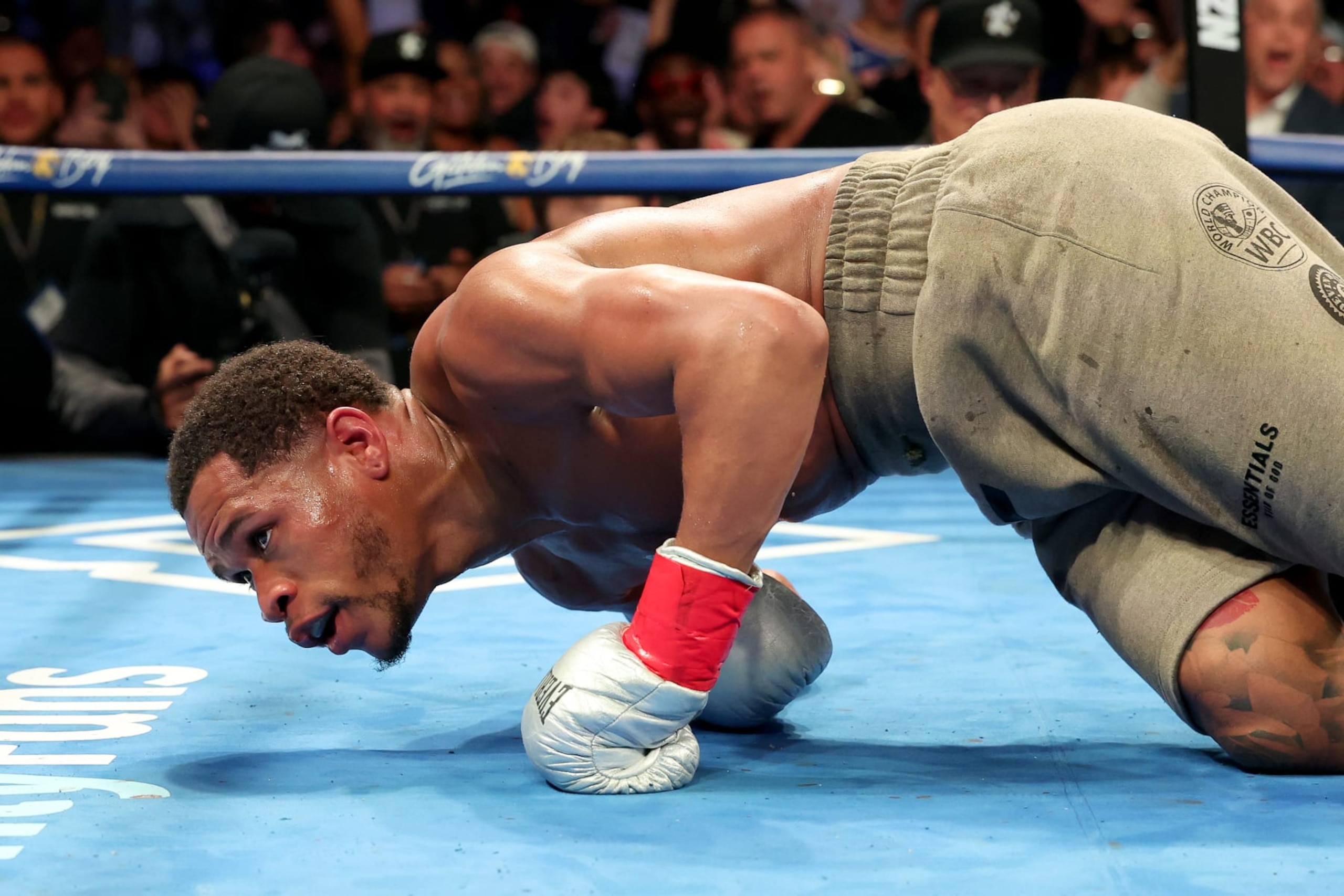 NEW YORK, NEW YORK - APRIL 20: Devin Haney (gray trunks) reacts after being knocked down b Ryan Garcia (not pictured) during their WBC Super Lightweight title bout at Barclays Center on April 20, 2024 in New York City.  (Photo by Al Bello/Getty Images)