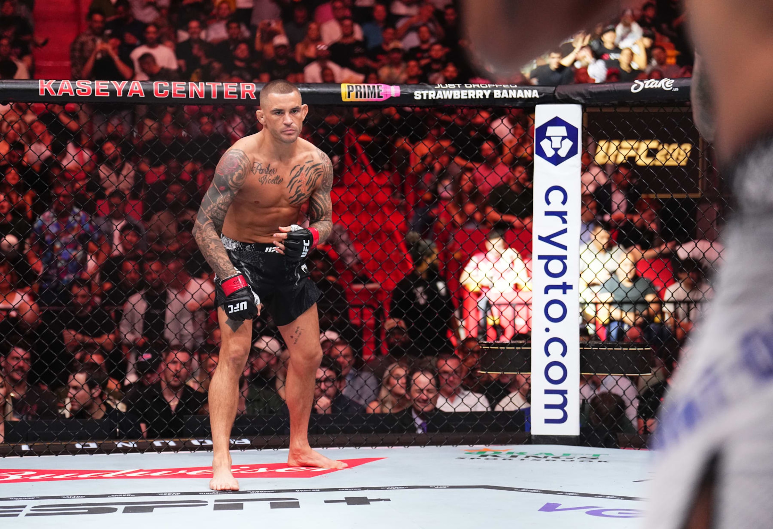 Dustin Poirier prepares to face Benoit Saint Denis.